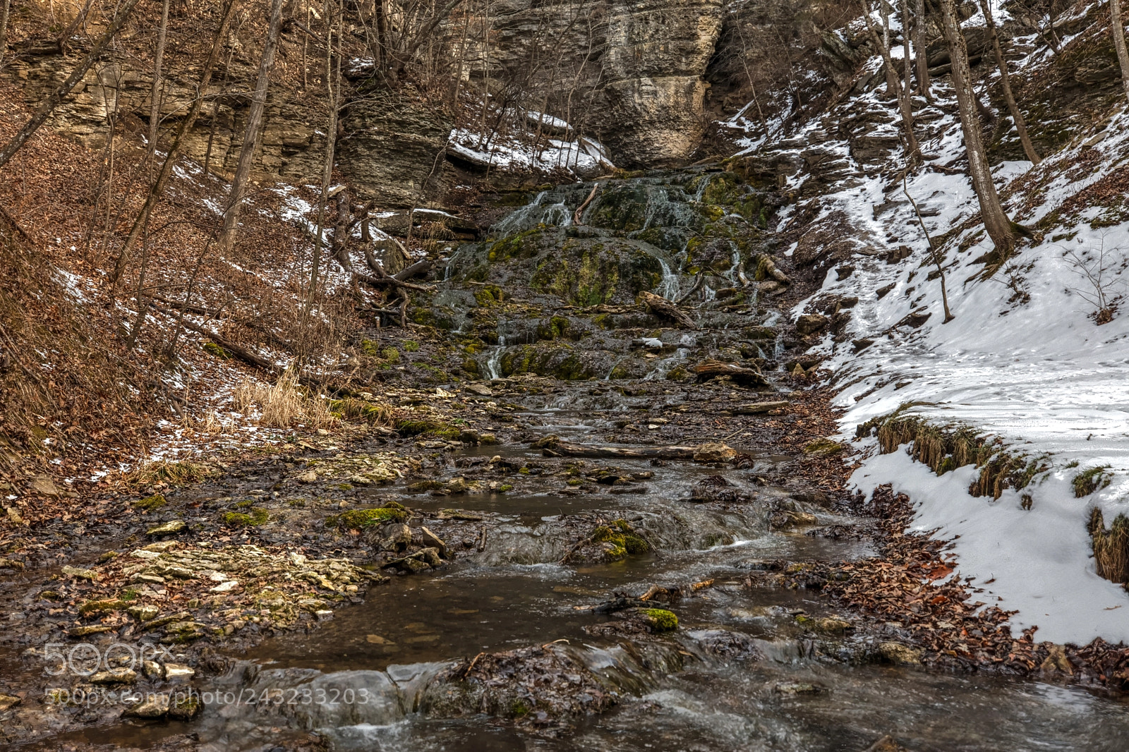 Canon EOS 5DS R sample photo. Dunning's springs 1-20-18 photography