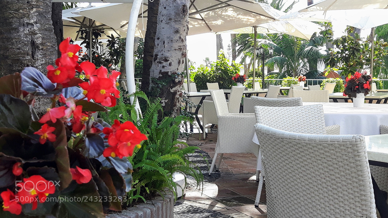 Samsung Galaxy S5 Neo sample photo. Terraza photography