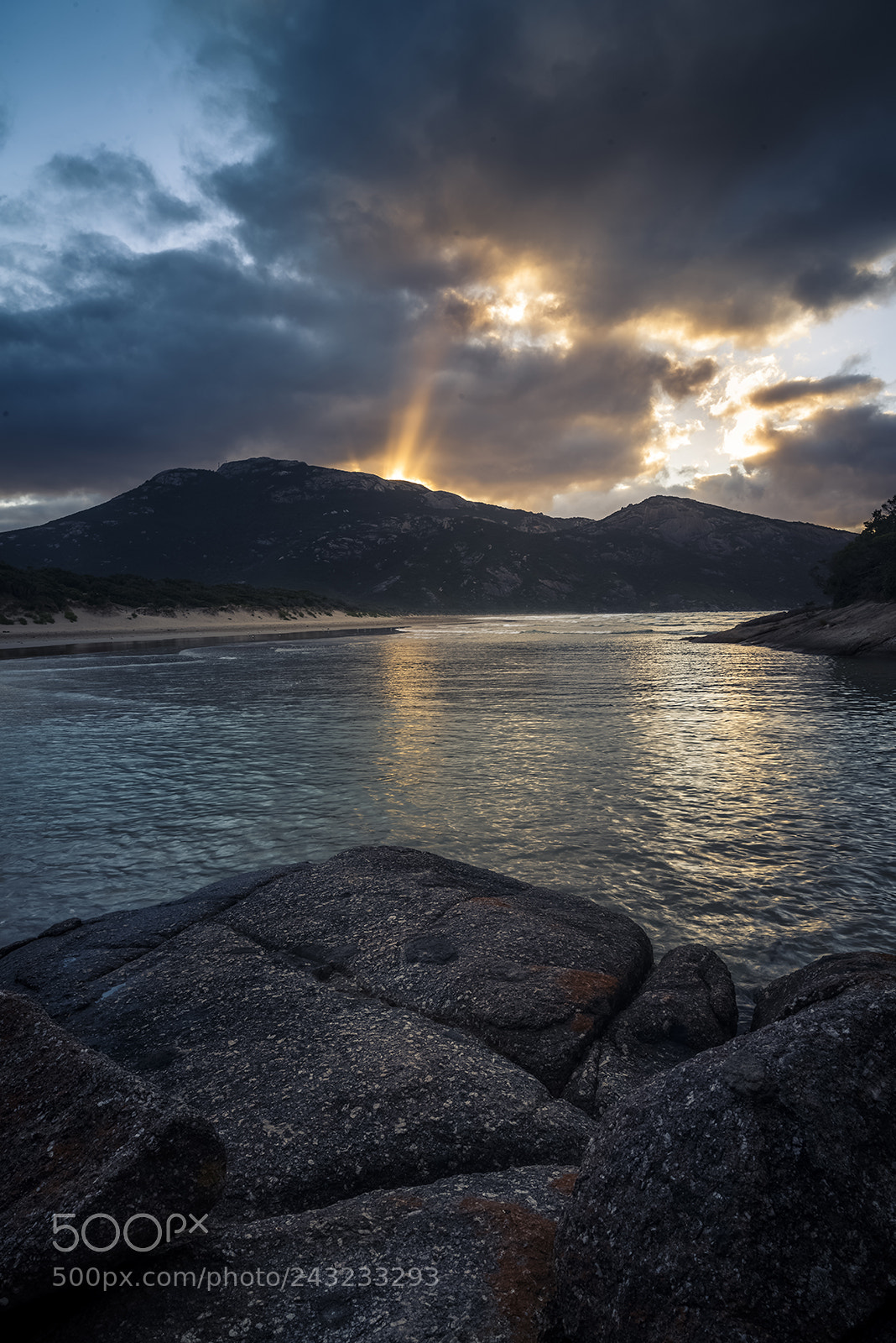 Nikon D810 sample photo. Morning light photography