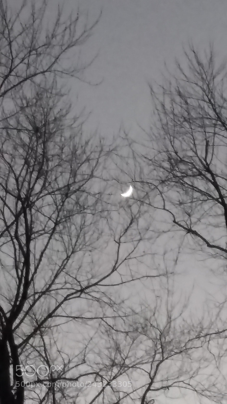 Motorola Moto E4 sample photo. Beautiful crescent moon photography