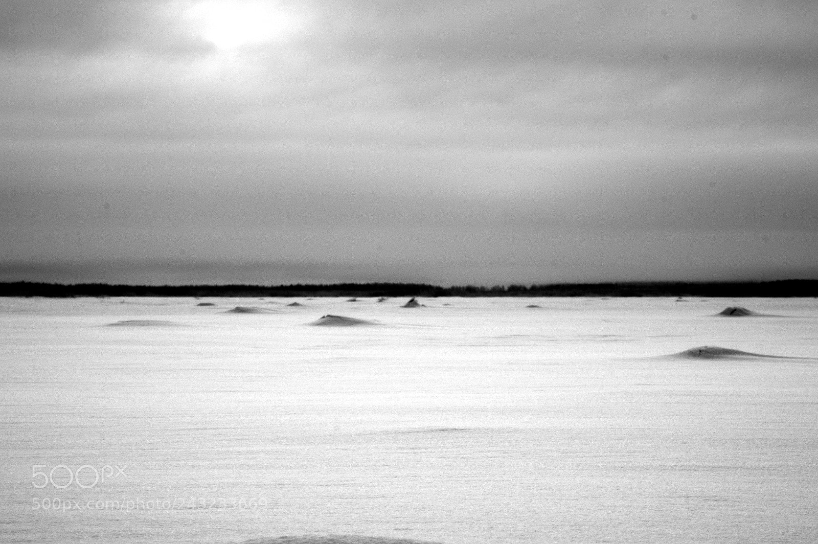 Pentax K-x sample photo. Under snow and ice photography