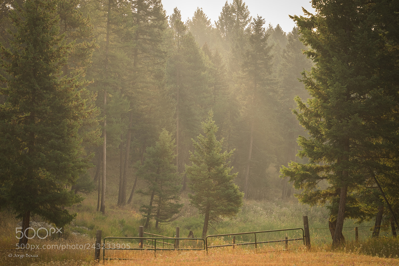 Fujifilm X-T1 sample photo. Montana smoke photography