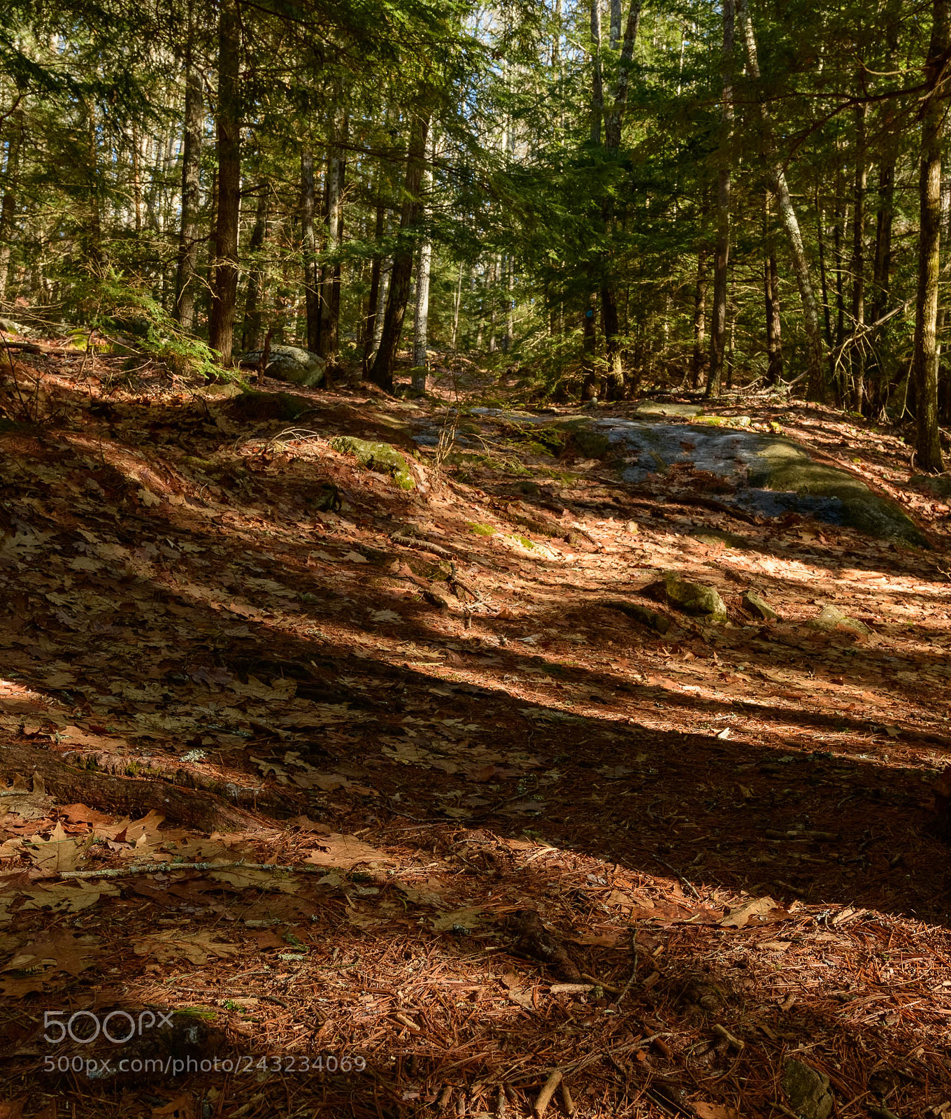 Nikon D7500 sample photo. Hdr photography