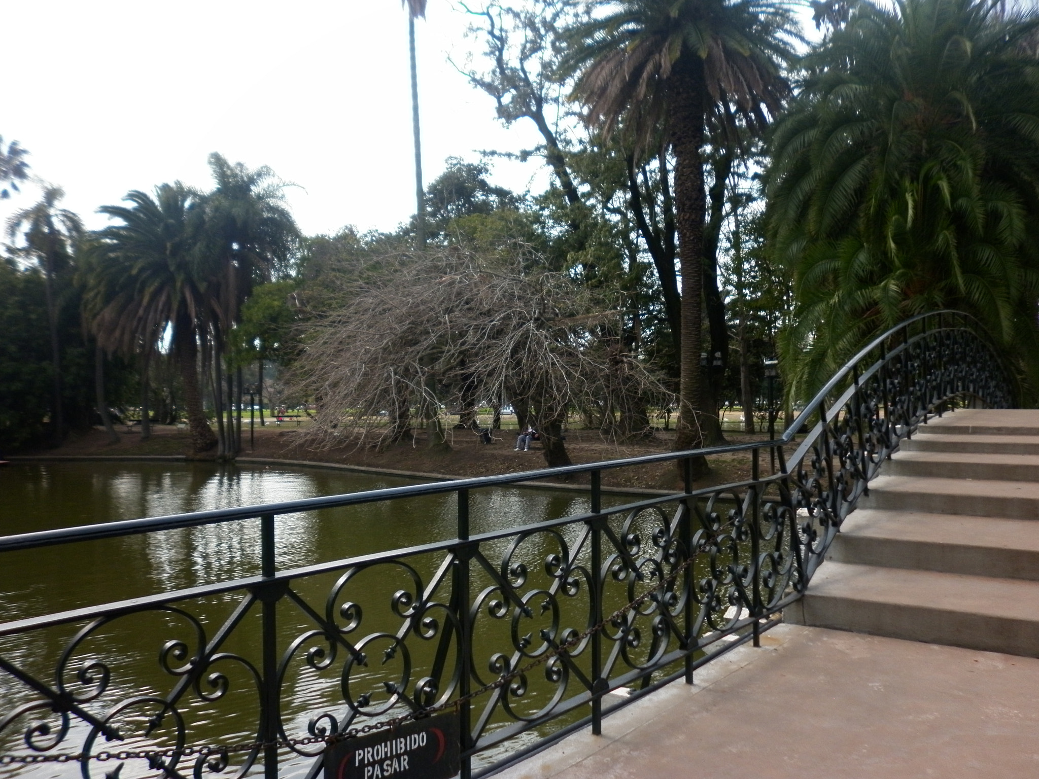 Panasonic DMC-F3 sample photo. Bosques de palermo photography