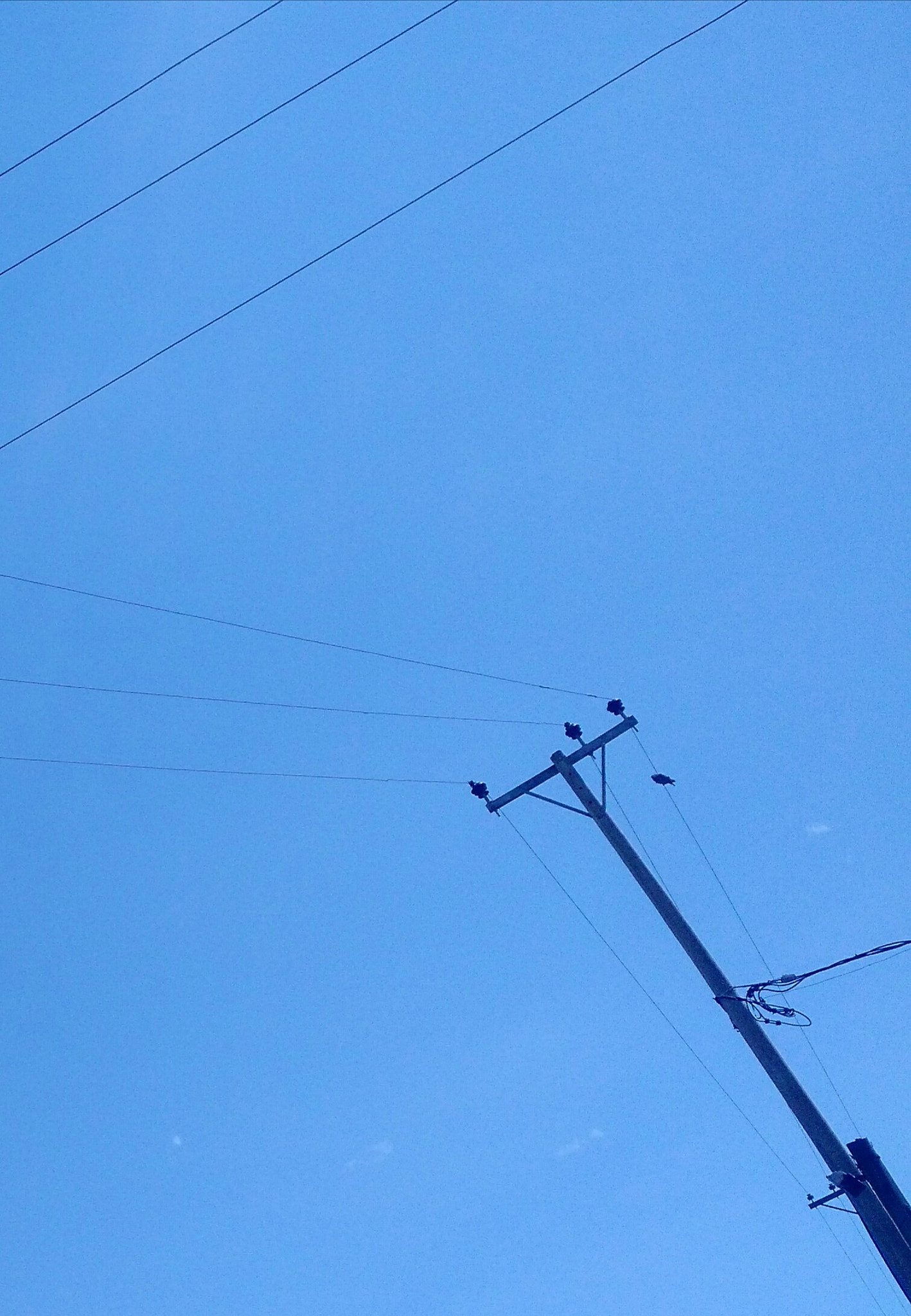 Motorola Moto X (2nd Gen) sample photo