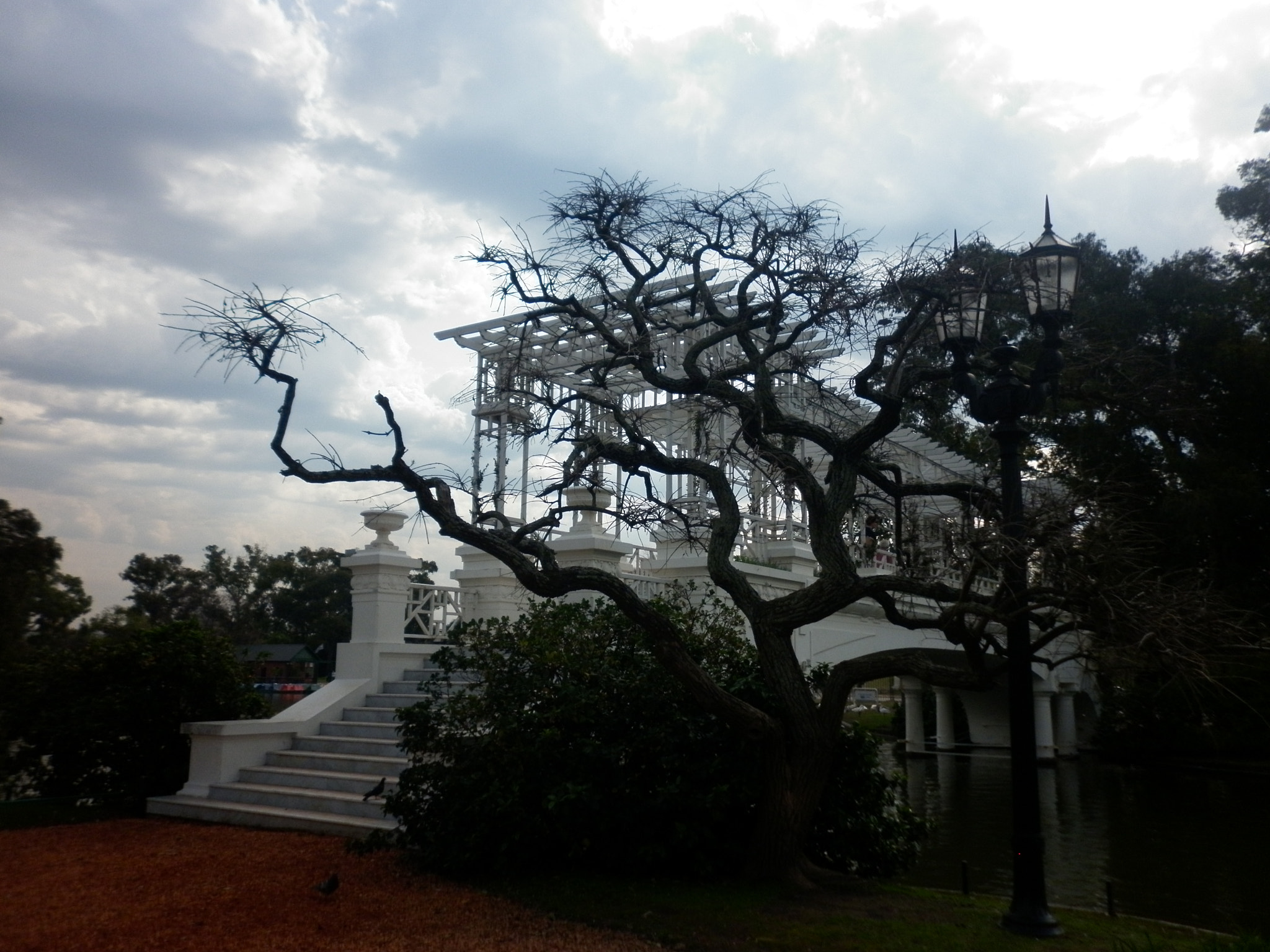 Panasonic DMC-F3 sample photo. Bosques de palermo photography