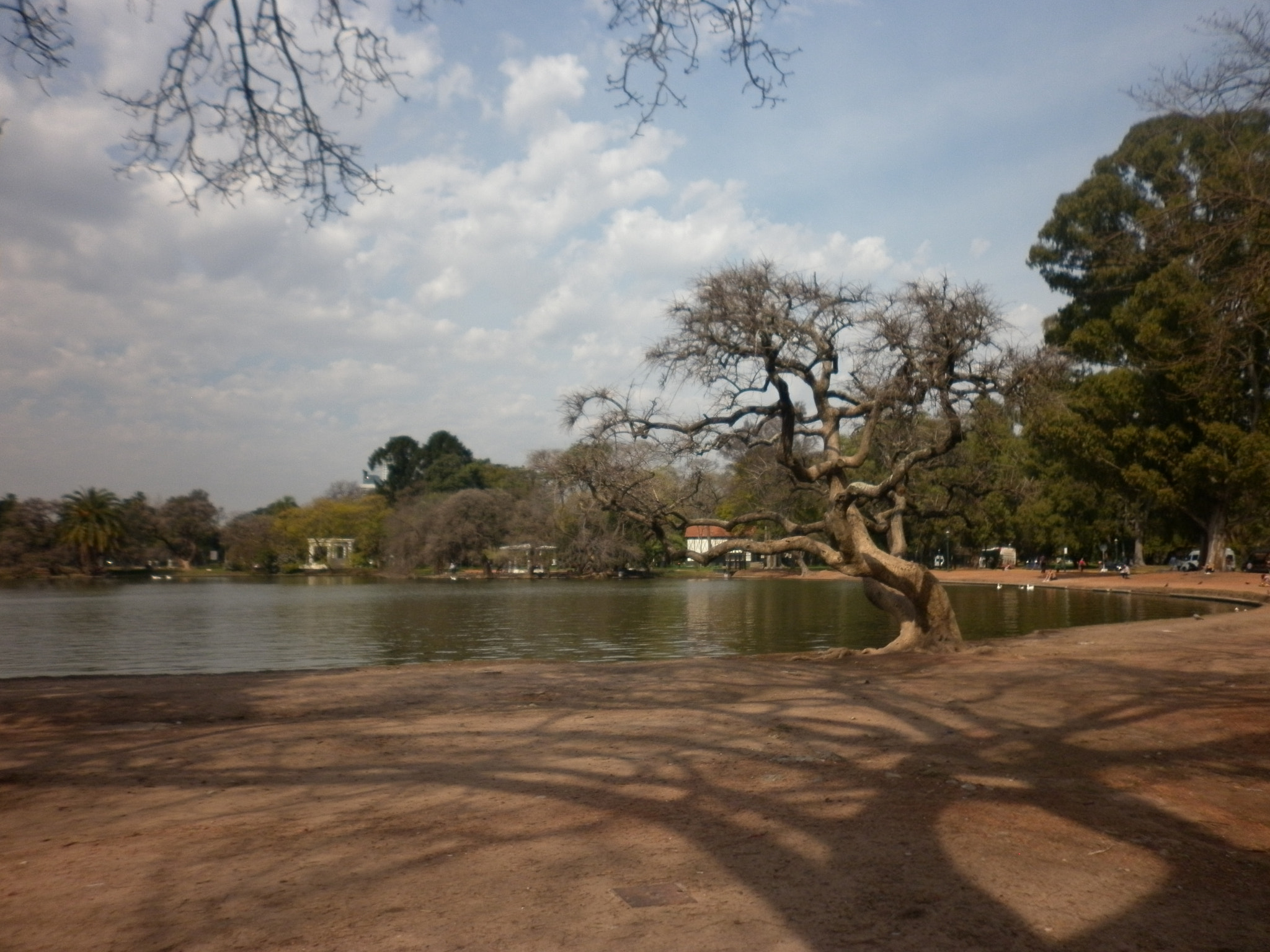 Panasonic DMC-F3 sample photo. Bosques de palermo photography