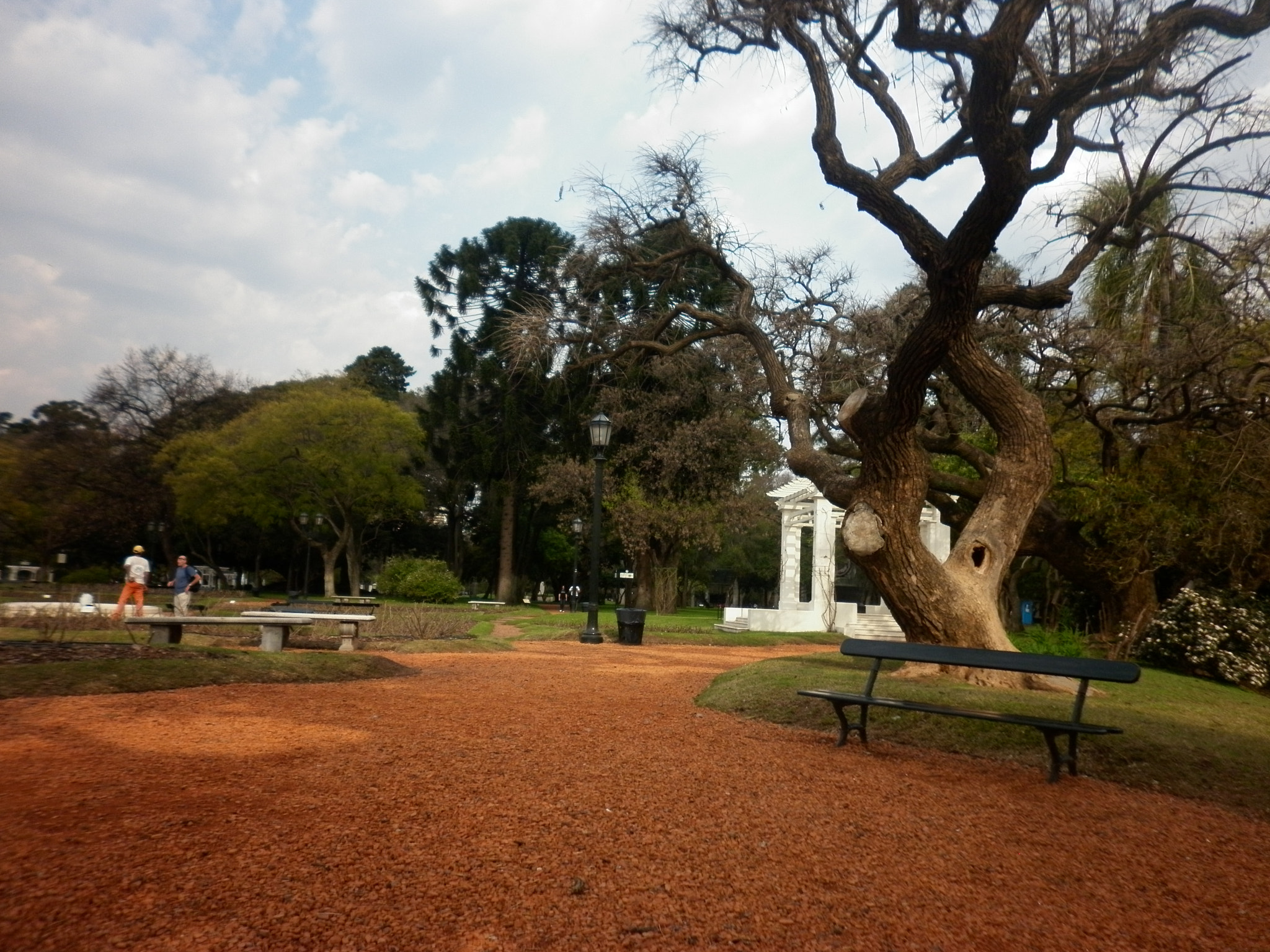 Panasonic DMC-F3 sample photo. Bosques de palermo photography
