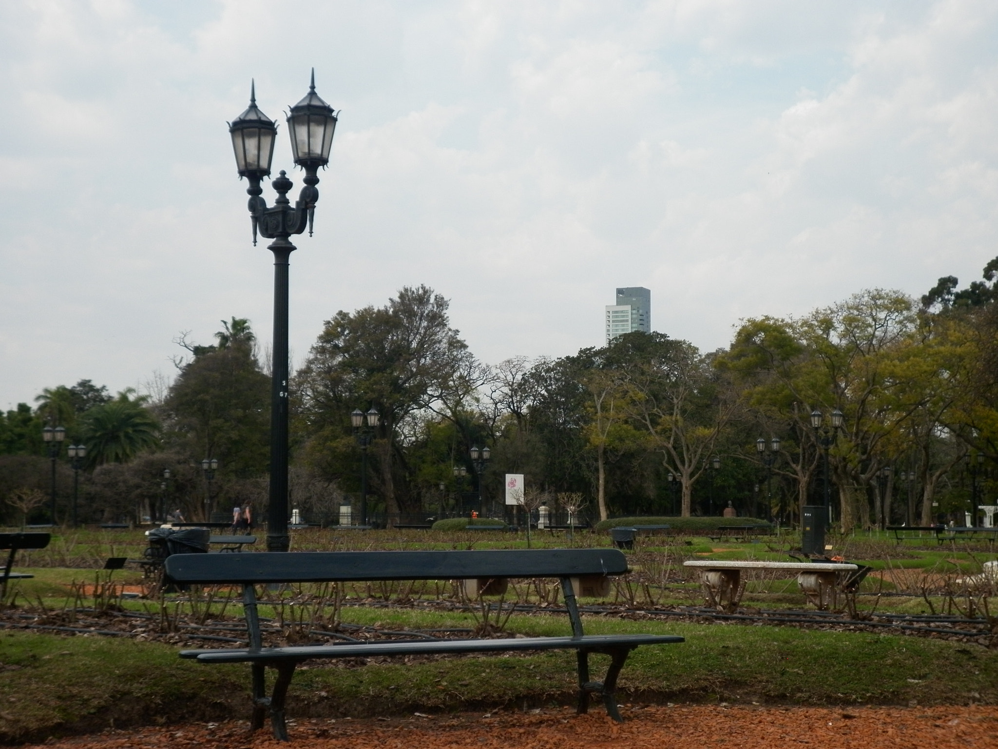 Panasonic DMC-F3 sample photo. Bosques de palermo photography