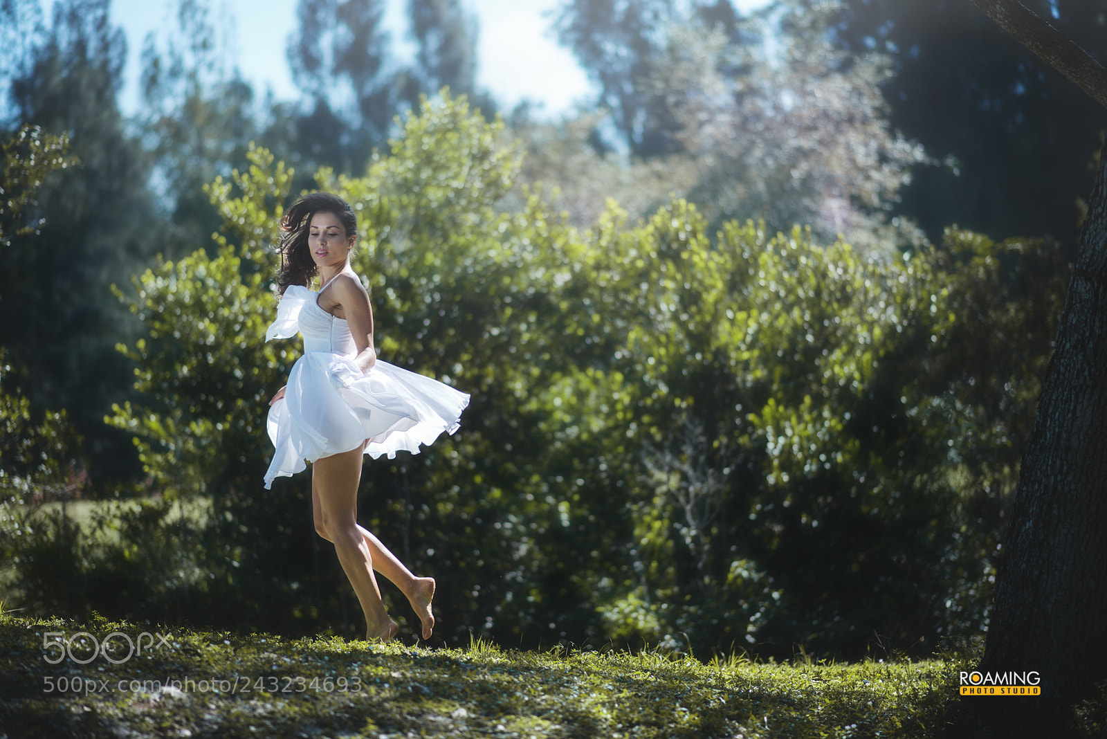 Nikon D600 sample photo. Dancing fairy... photography