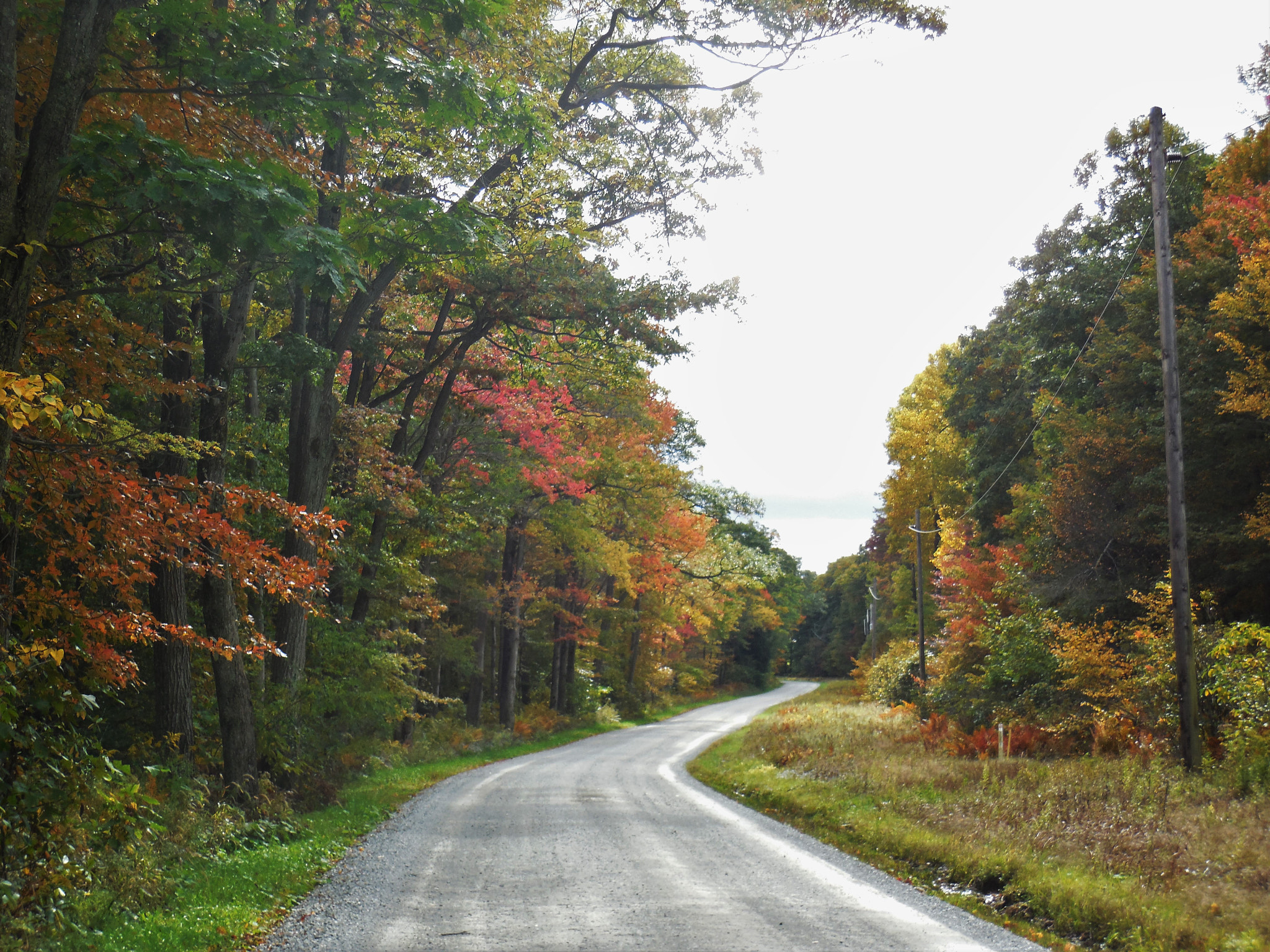 Nikon Coolpix S6500 sample photo. Autumn road photography