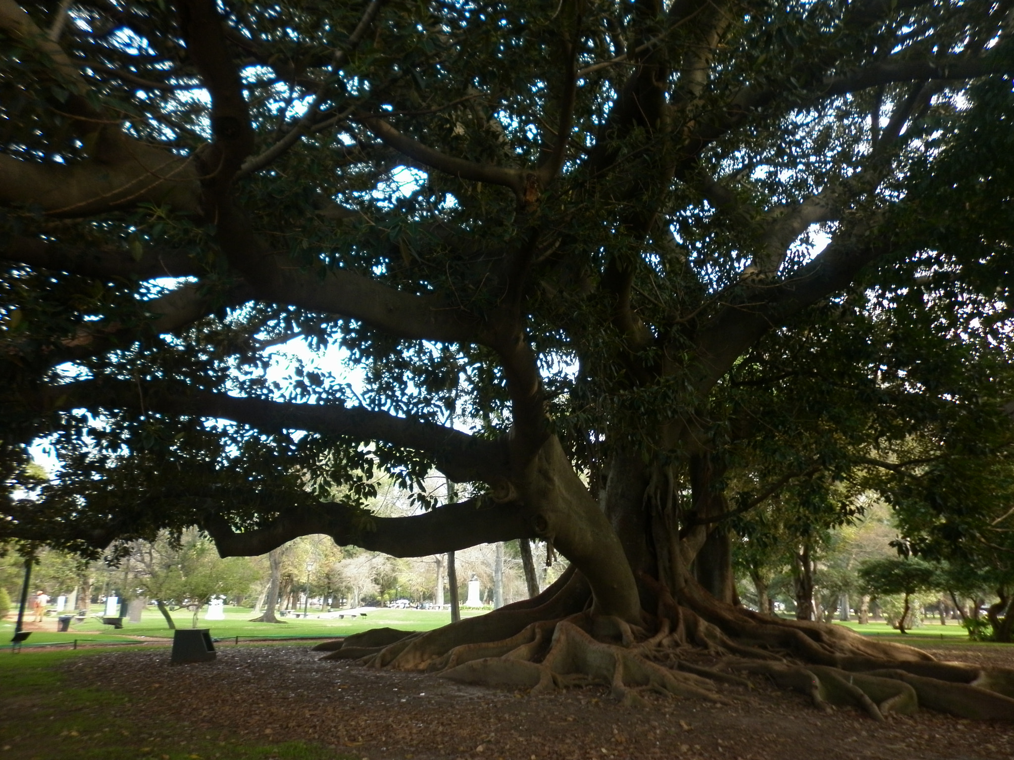 Panasonic DMC-F3 sample photo. Bosques de palermo photography