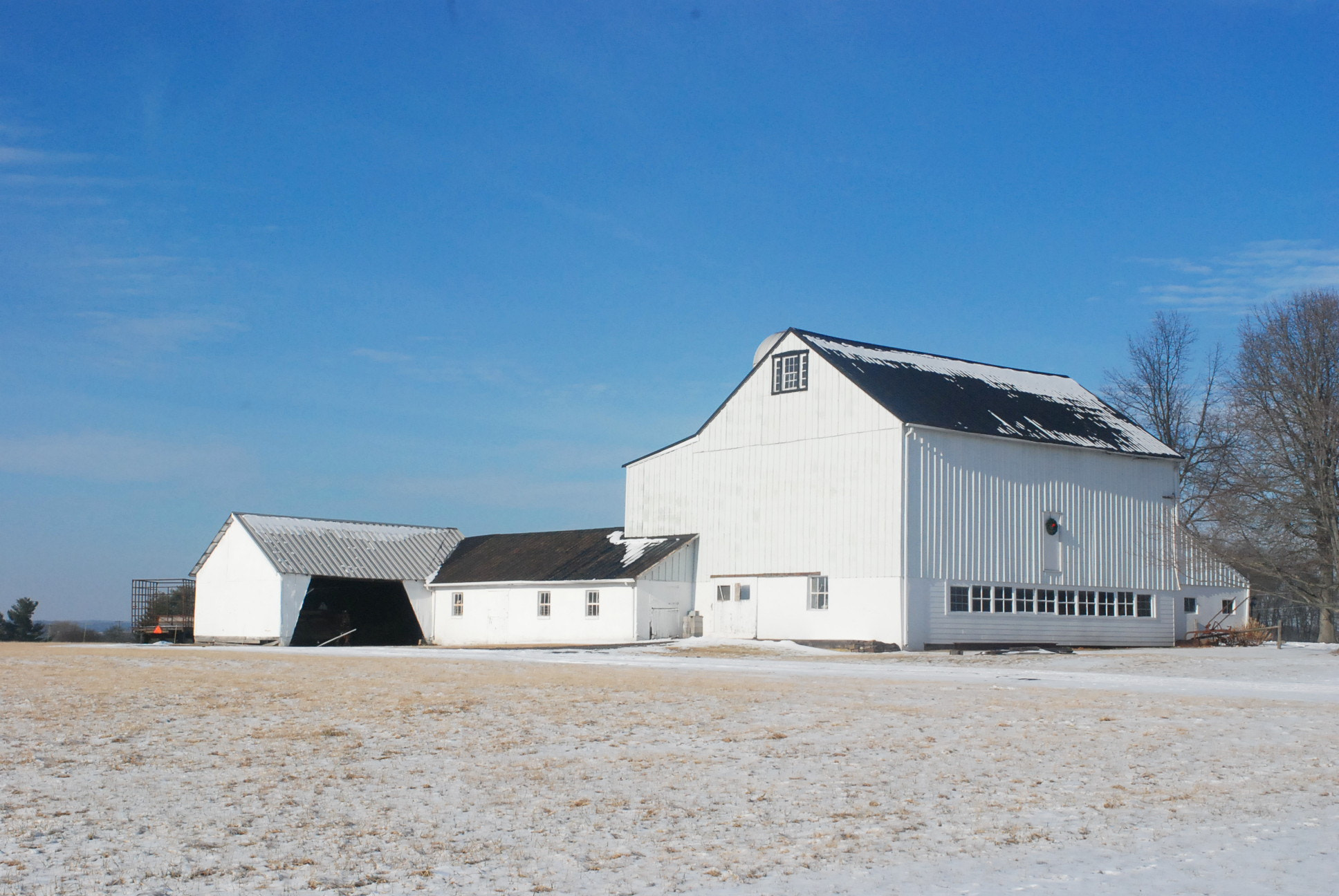 Nikon D80 sample photo. White barn photography