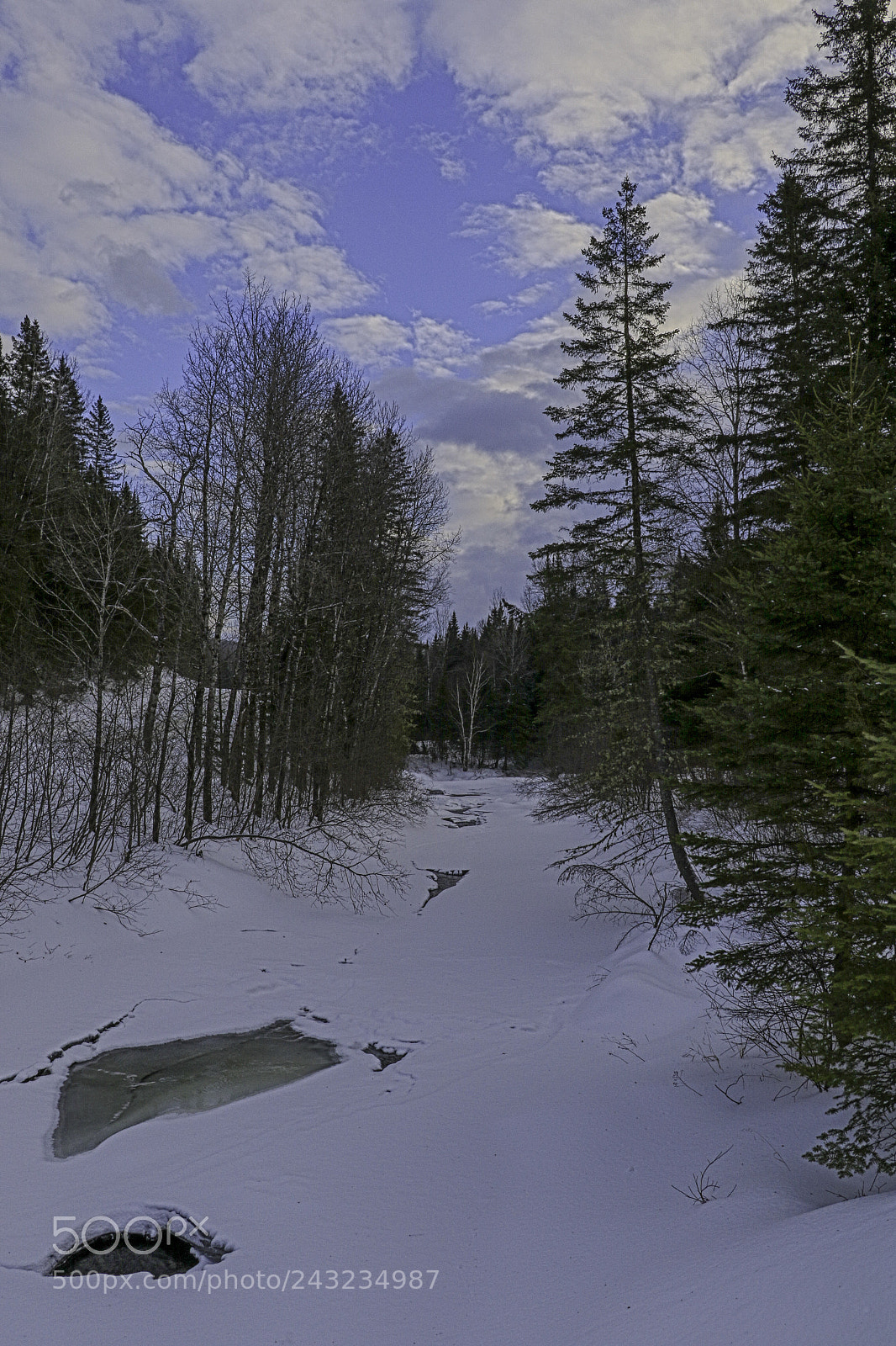 Canon EOS 7D Mark II sample photo. Pure nature photography