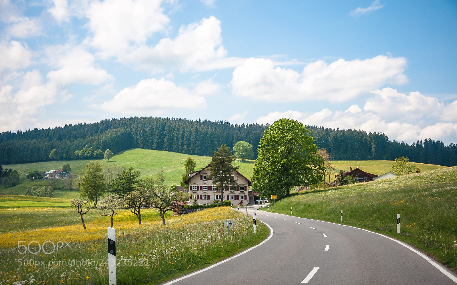 Nikon D90 sample photo. The road less travelled... photography