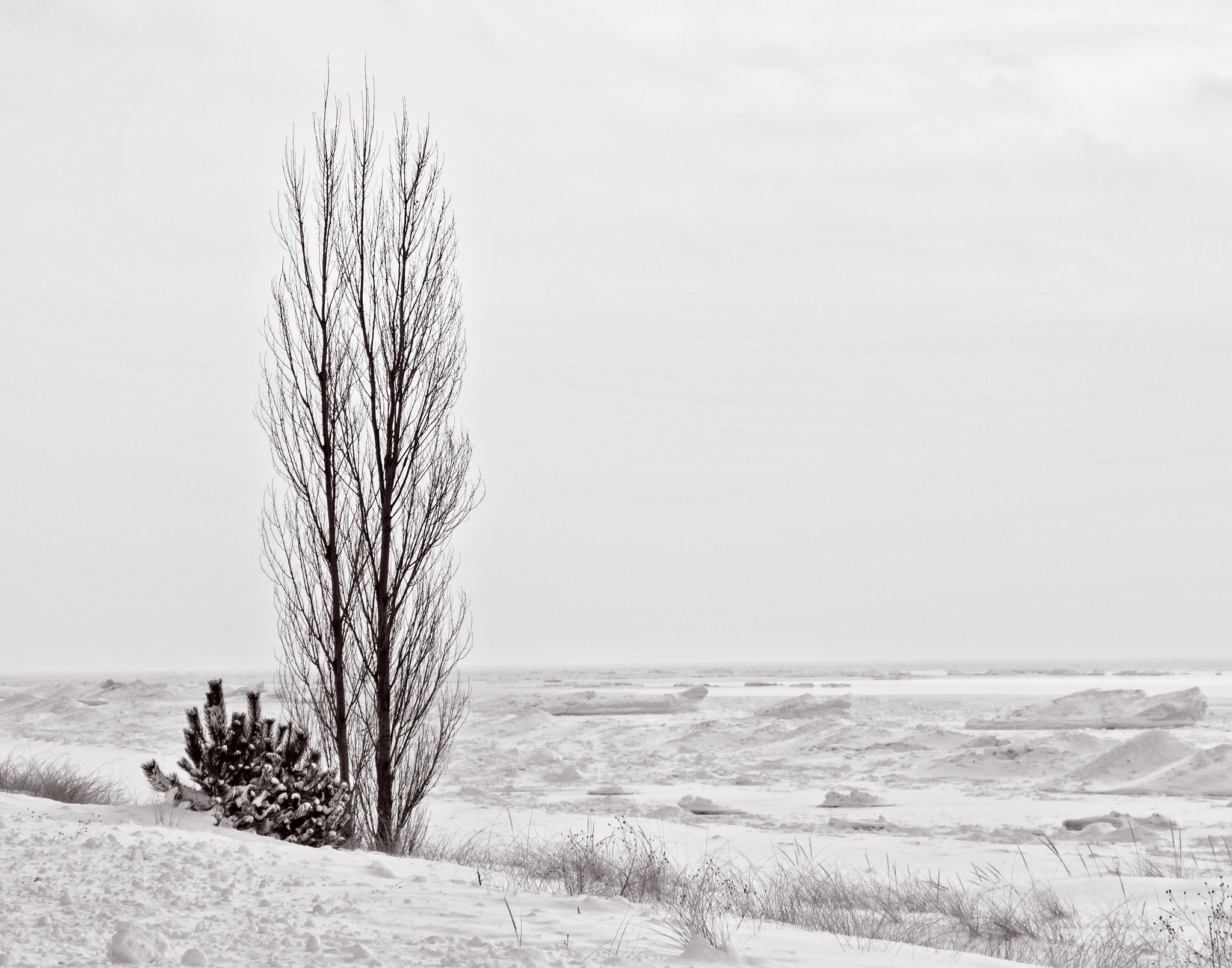 Nikon 1 V2 sample photo. Winter on oval beach saugatuck photography