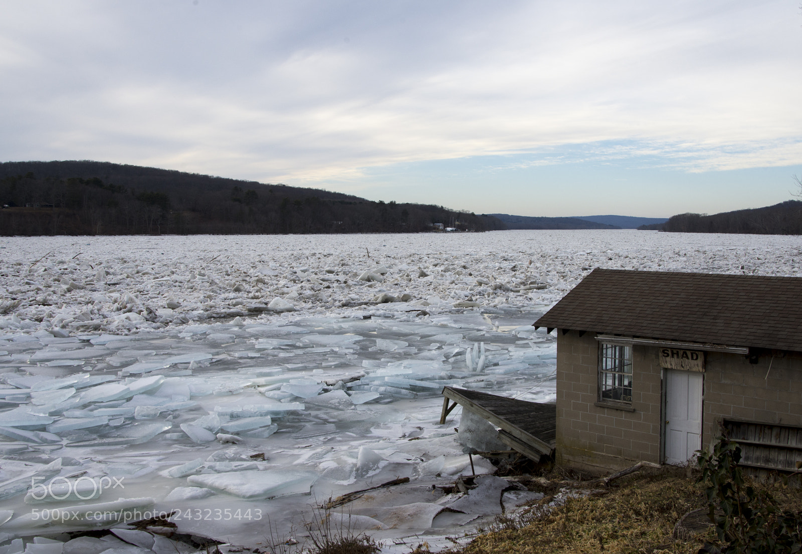 Nikon D7200 sample photo. Shad on icy river photography