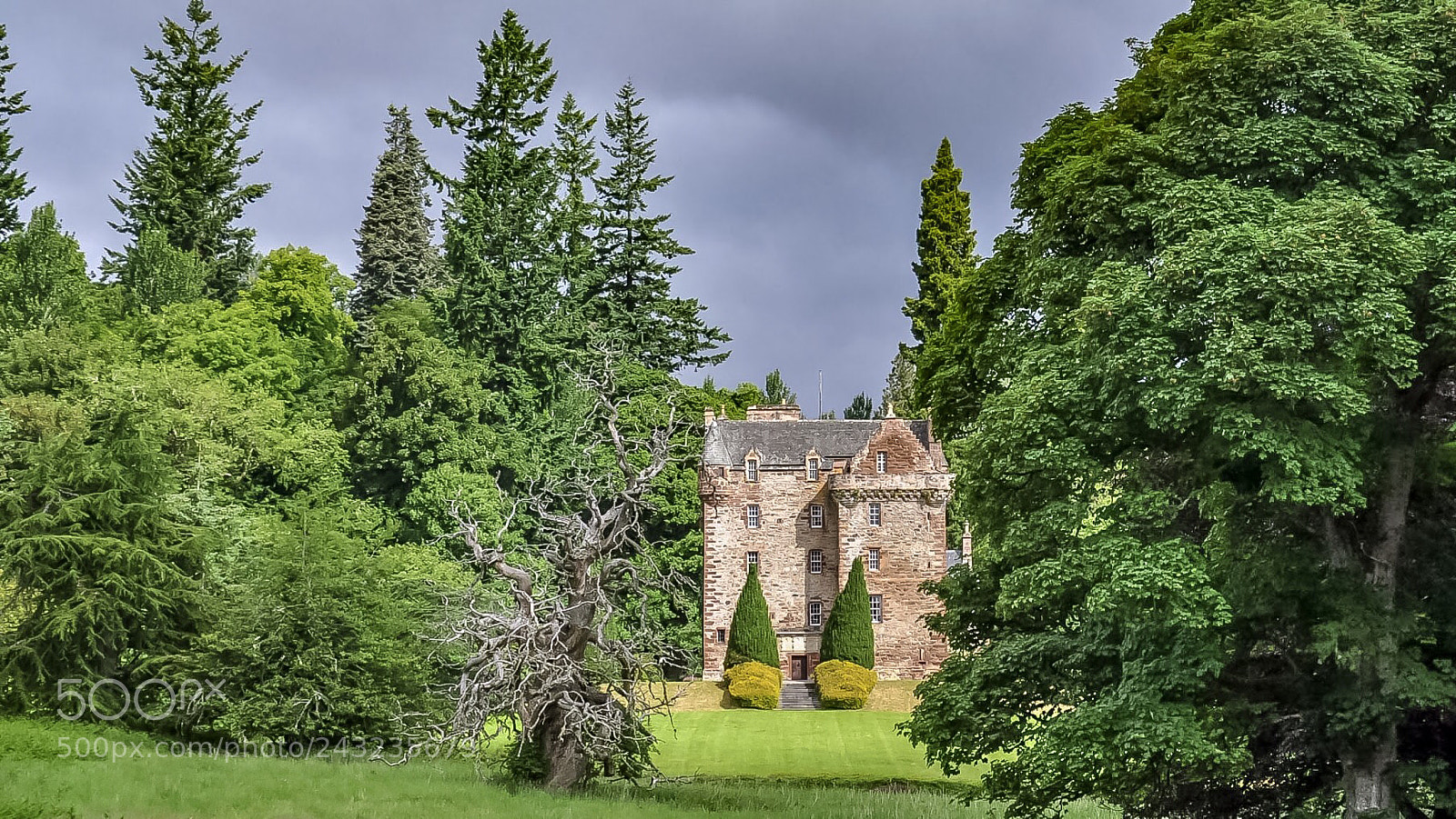 Nikon D90 sample photo. Castle leod photography