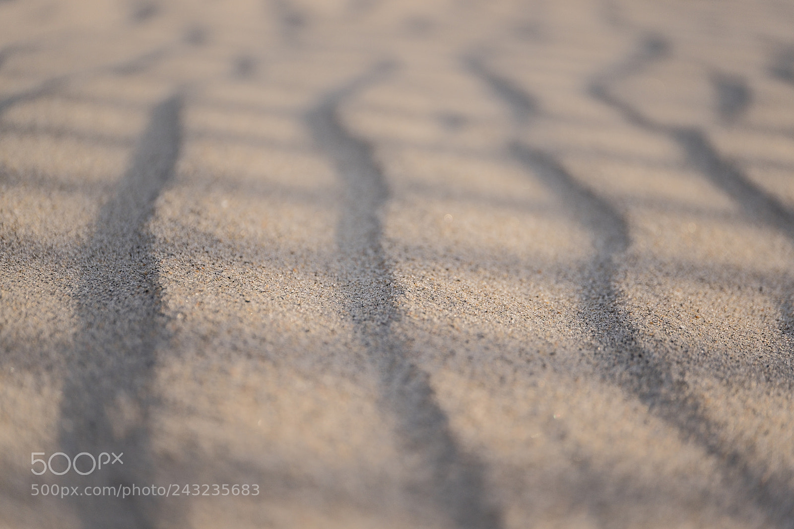 Fujifilm X-T1 sample photo. Sand photography