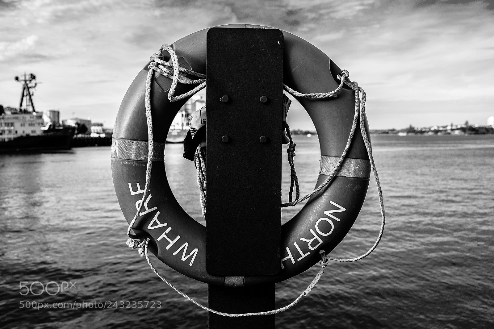 Fujifilm X-T1 sample photo. Auckland photography