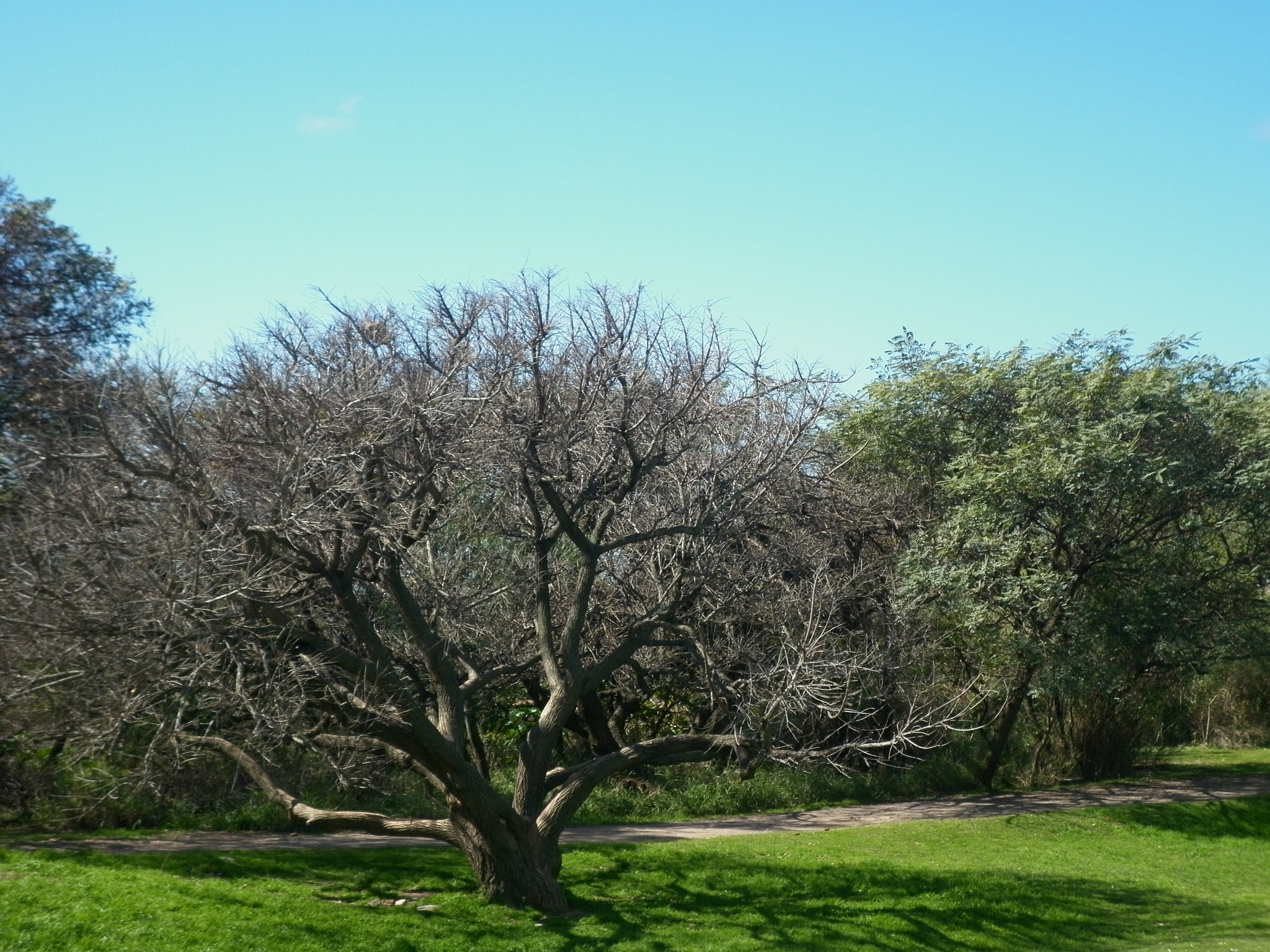 Panasonic DMC-F3 sample photo. La reserva photography