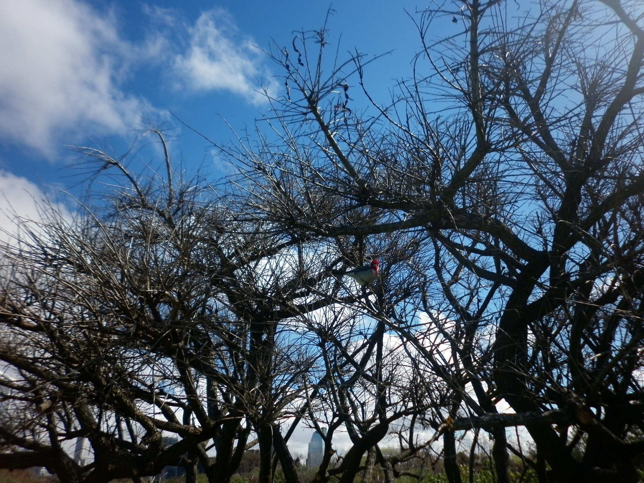 Panasonic DMC-F3 sample photo. La reserva photography