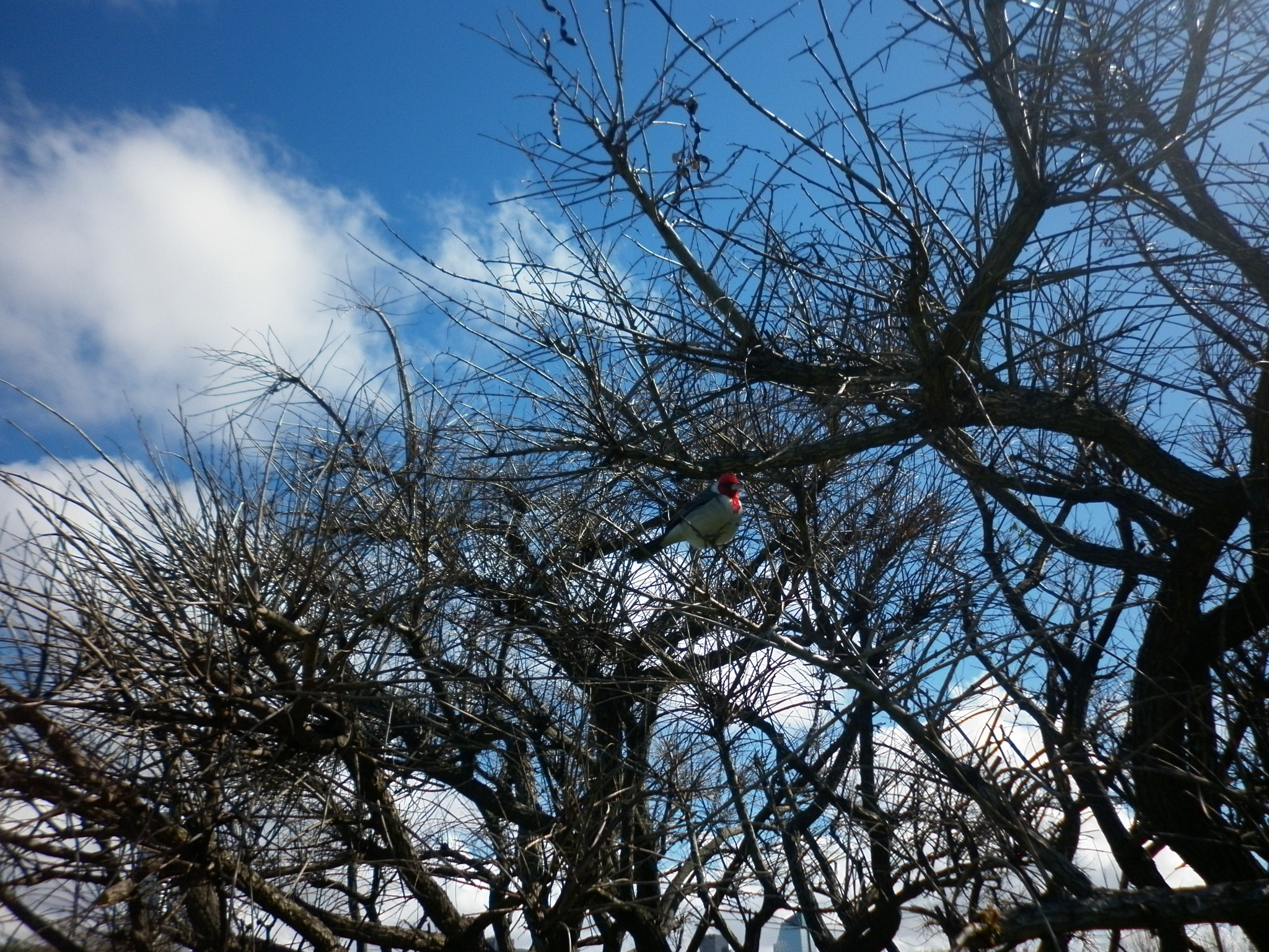 Panasonic DMC-F3 sample photo. La reserva photography