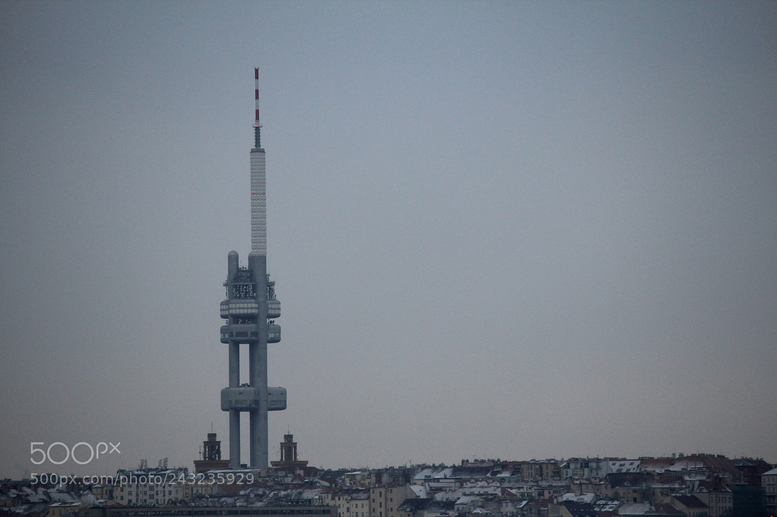 Canon EF-S 55-250mm F4-5.6 IS II sample photo. Standing tall photography