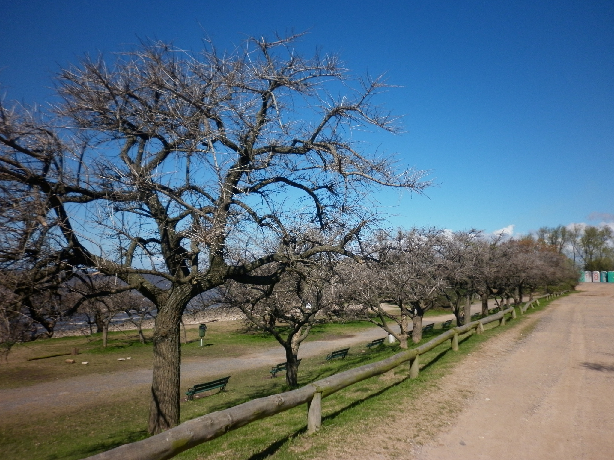 Panasonic DMC-F3 sample photo. La reserva photography