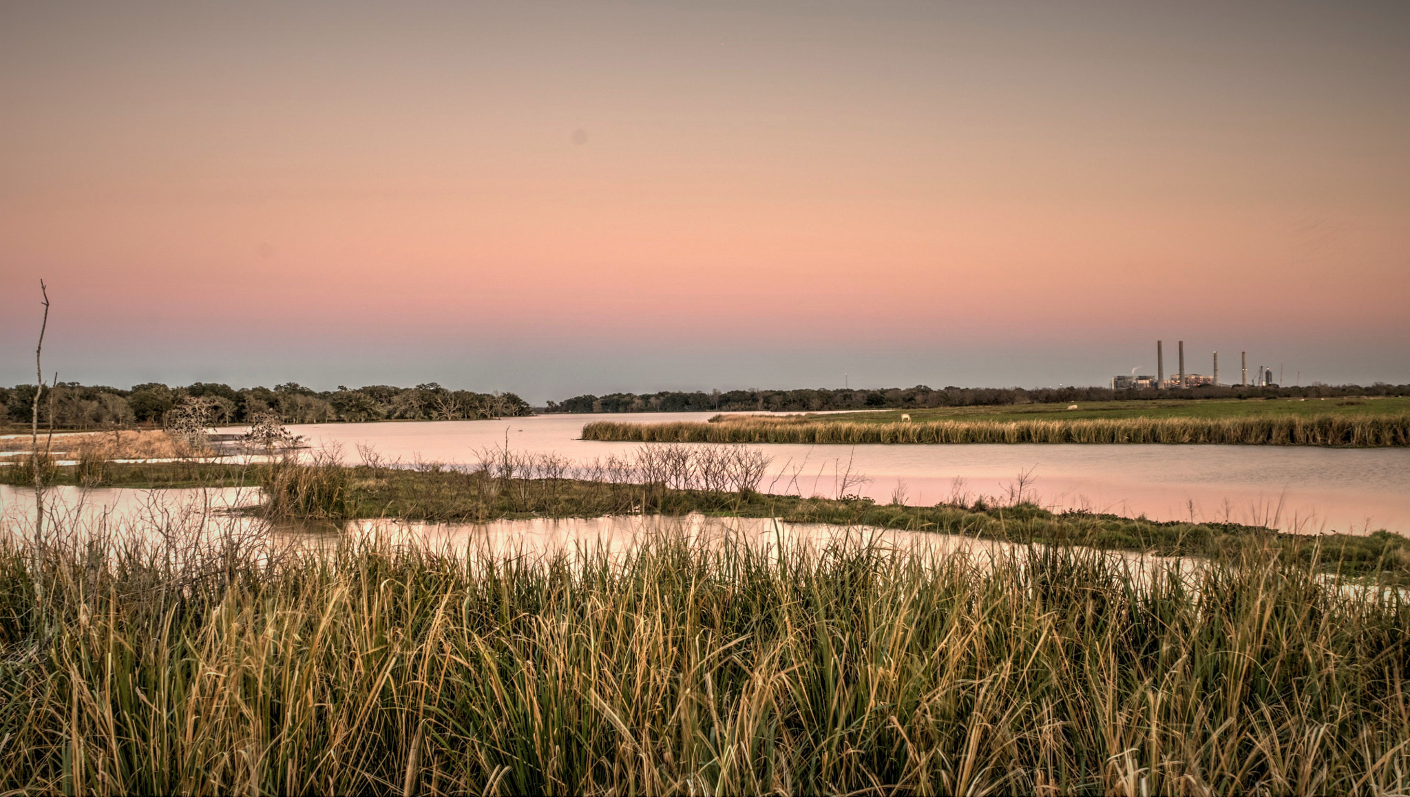 Nikon AF-S Nikkor 24-70mm F2.8G ED sample photo. Wetland photography