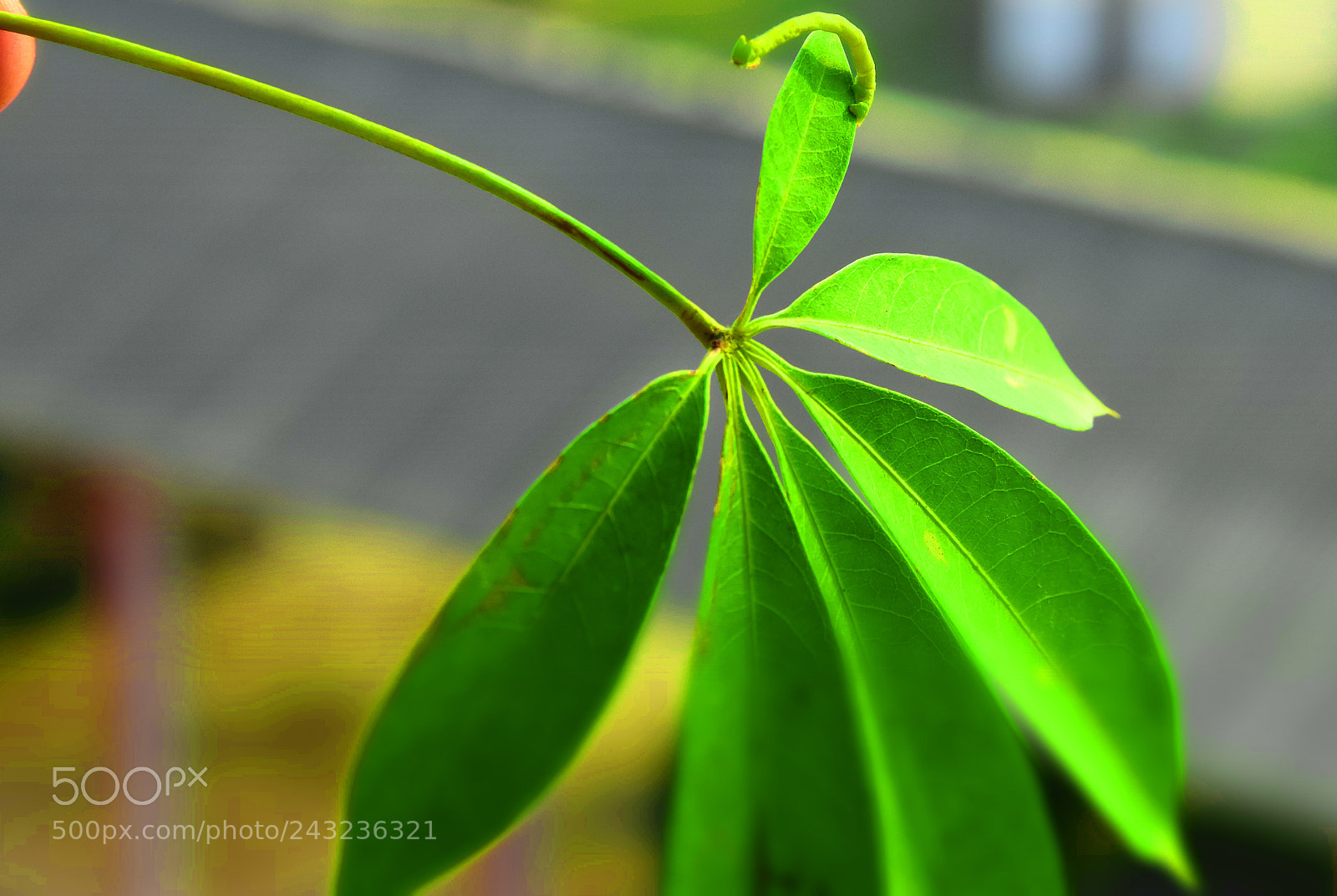 Nikon D7200 sample photo. ; photography