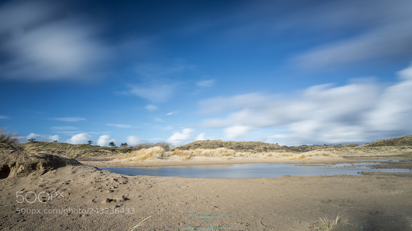 Sony a7 II sample photo. Dunes at zandvoort bloemendaal photography