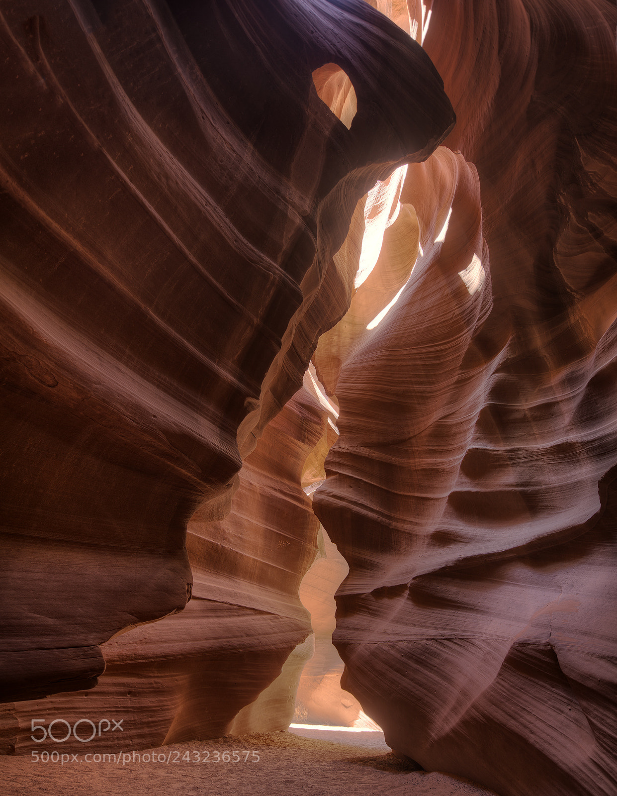 Nikon D800 sample photo. Light ahead photography
