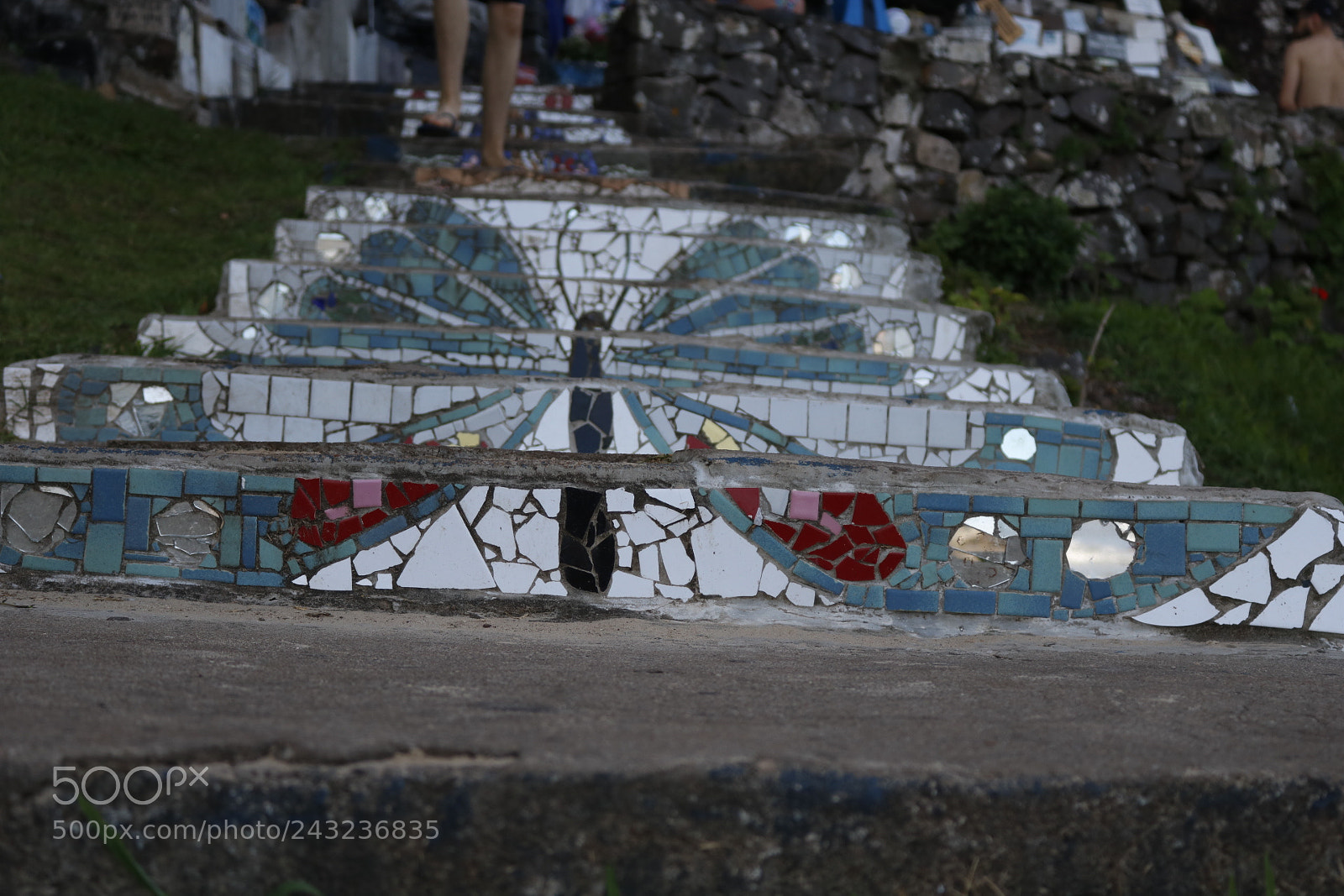 Canon EOS 750D (EOS Rebel T6i / EOS Kiss X8i) sample photo. Butterfly photography