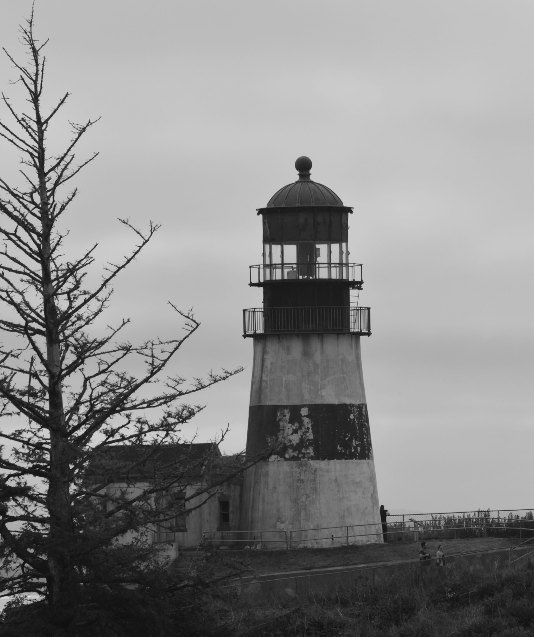 Sigma 70-300mm F4-5.6 APO DG Macro sample photo. Cape disappointment photography