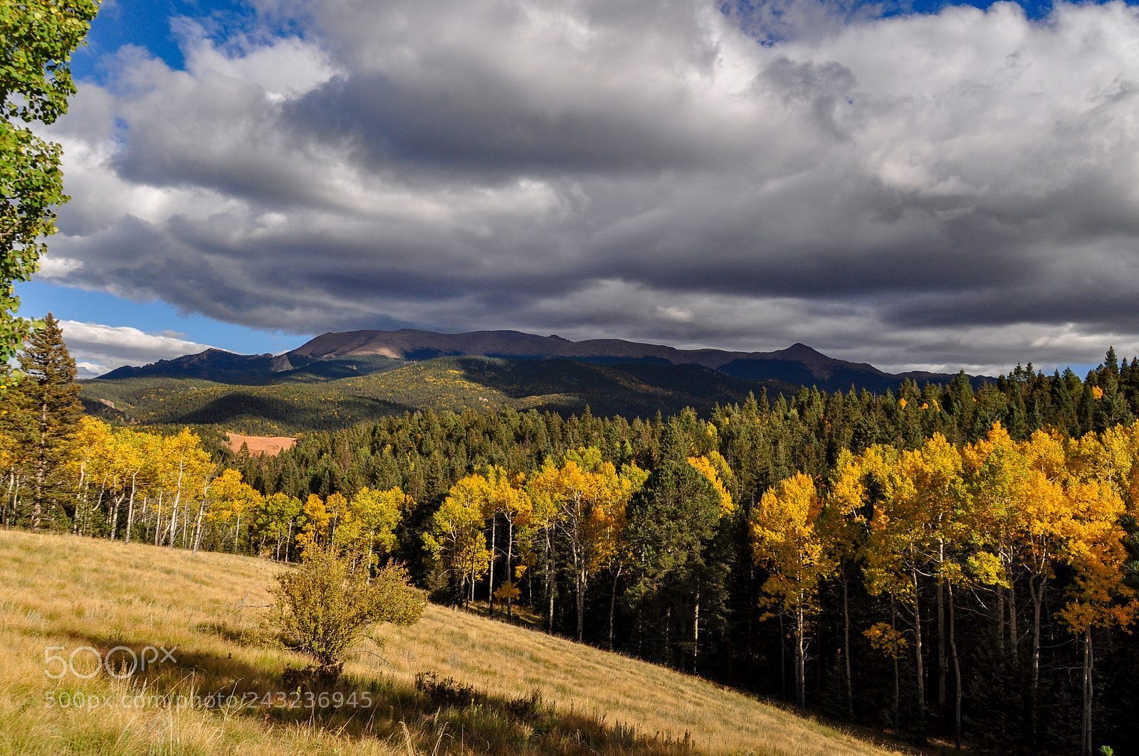 Nikon D5000 sample photo. Mueller state park photography