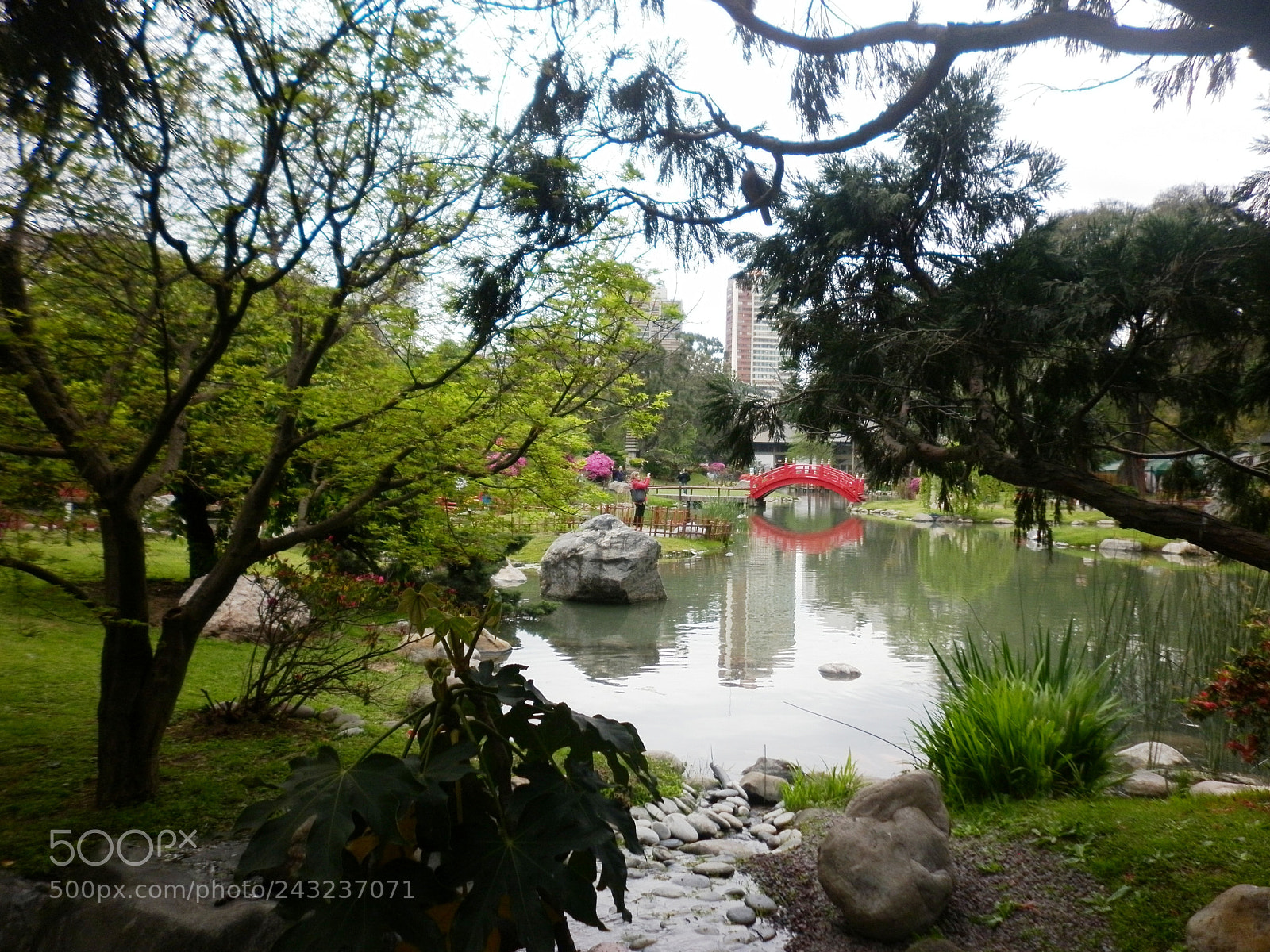 Panasonic DMC-F3 sample photo. Jardín japonés photography
