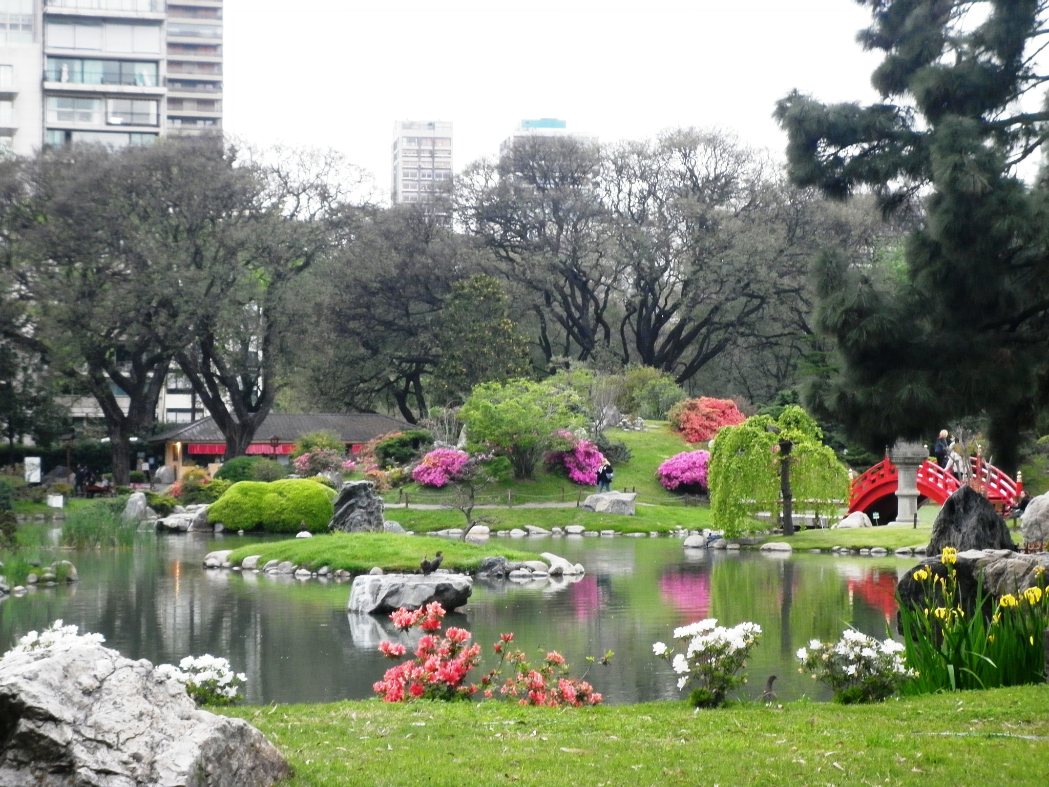 Panasonic DMC-F3 sample photo. Jardín japonés photography