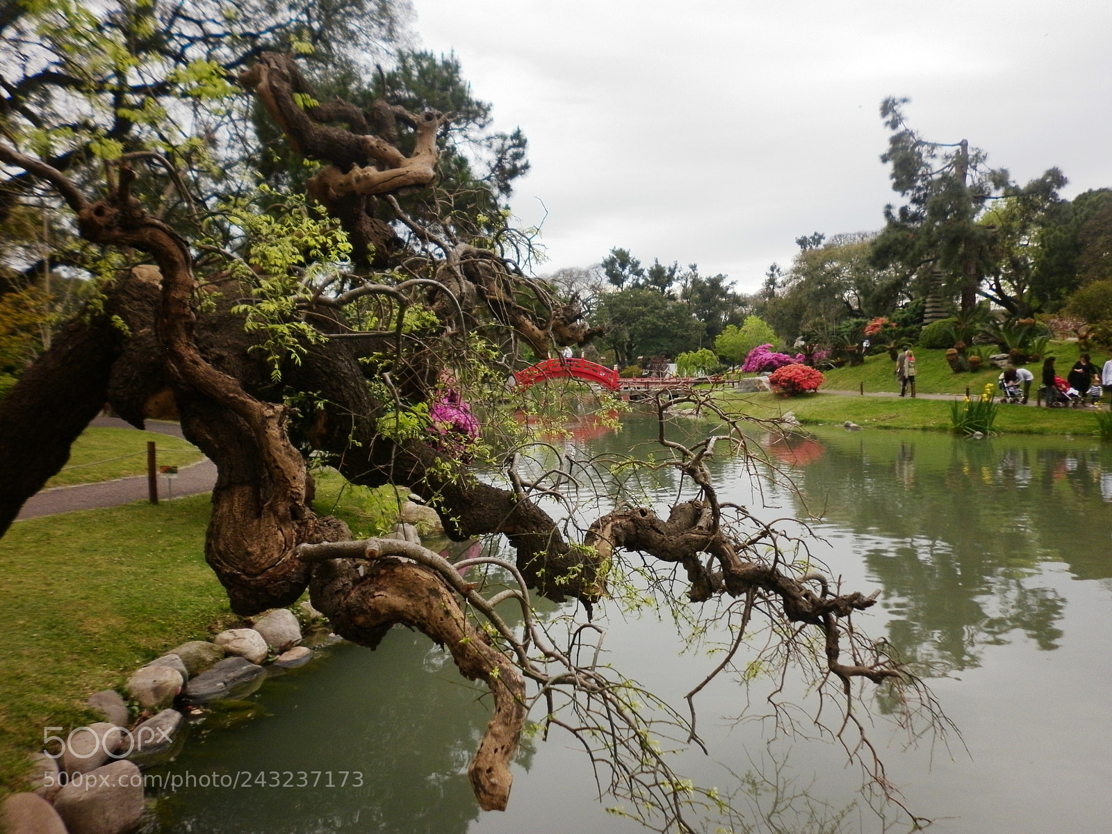 Panasonic DMC-F3 sample photo. Jardín japonés photography