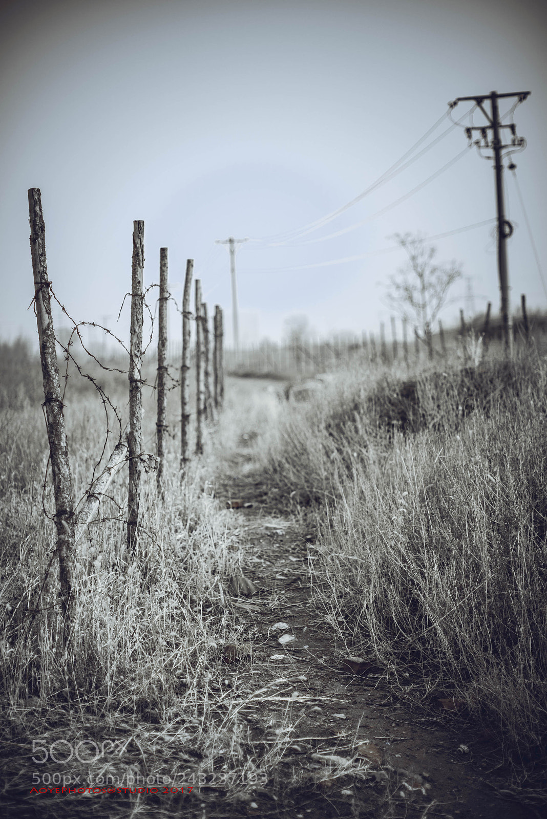 Nikon D800 sample photo. Untitled photography