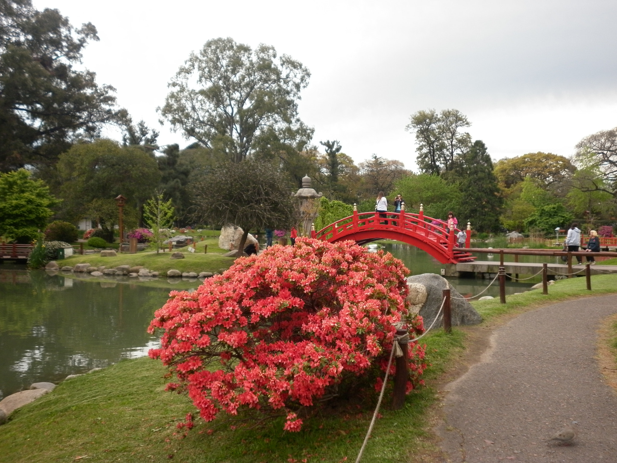 Panasonic DMC-F3 sample photo. Jardín japonés photography
