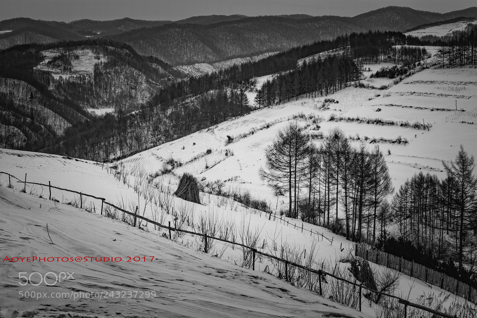 Nikon D800 sample photo. Untitled photography