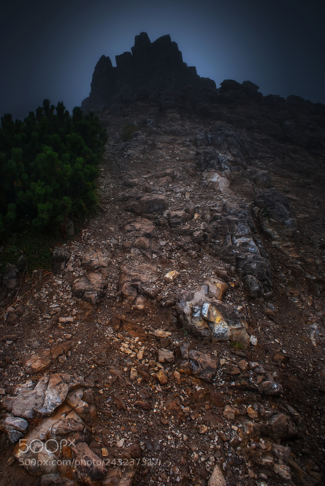 Sony Alpha DSLR-A200 sample photo. Deer rock photography