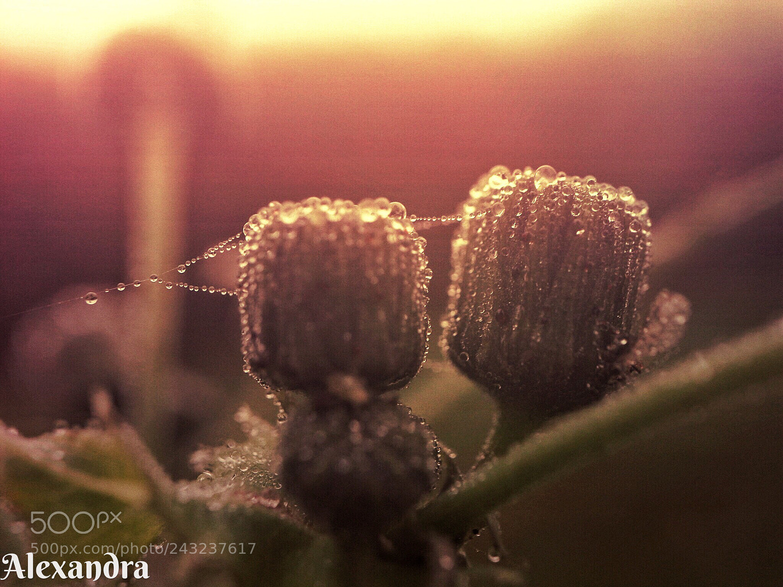 Canon EOS M10 sample photo. Untitled photography