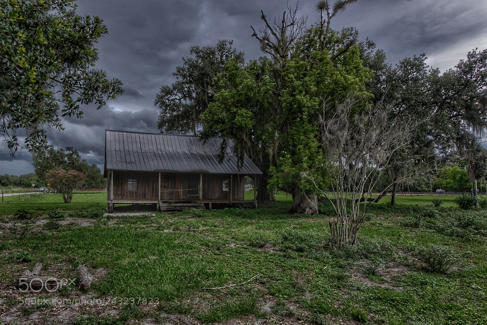 Nikon D800 sample photo. Old florida home photography