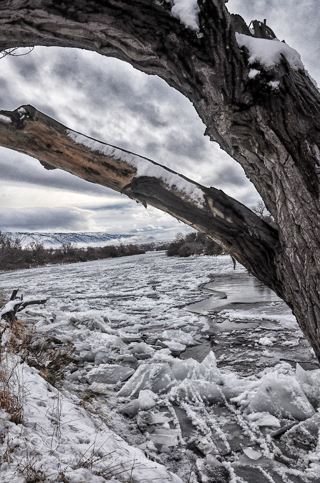 Nikon D90 sample photo. North platte ,casper, wyoming photography