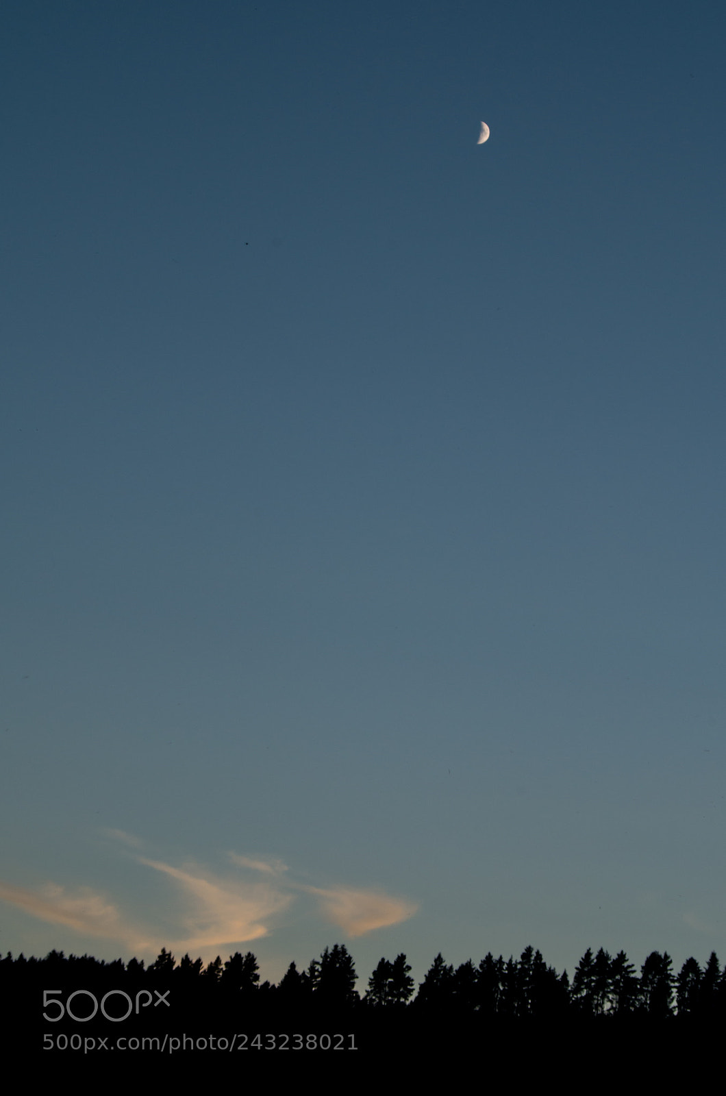 Pentax K-50 sample photo. The absolute minimum. photography