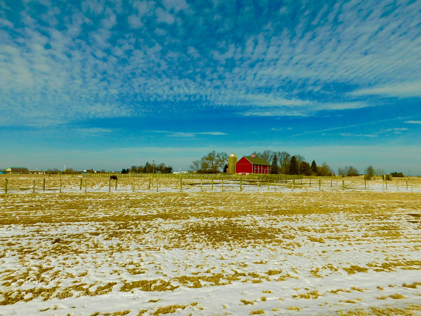 Nikon Coolpix L840 sample photo. Bison photography