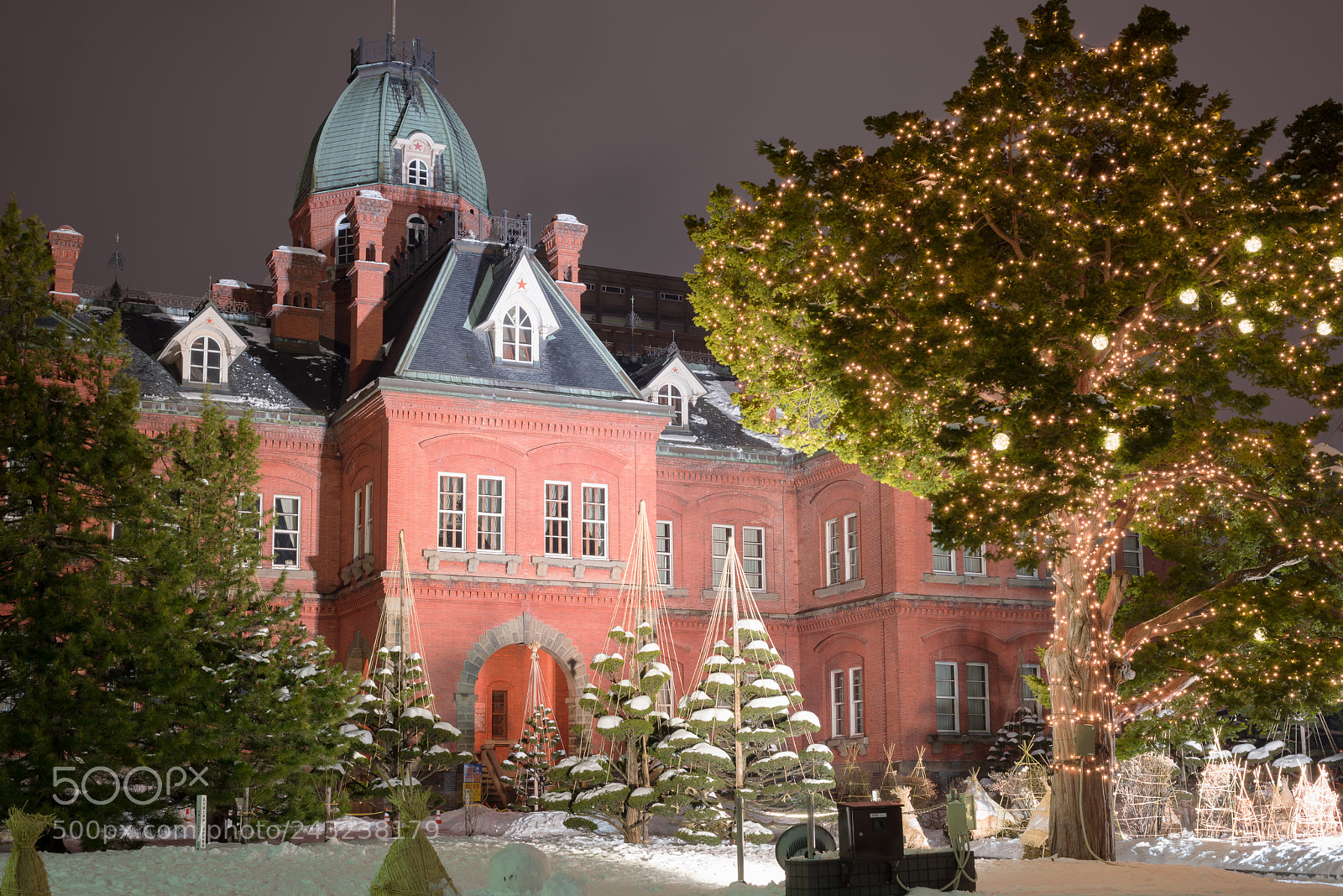 Nikon D600 sample photo. Winter photography