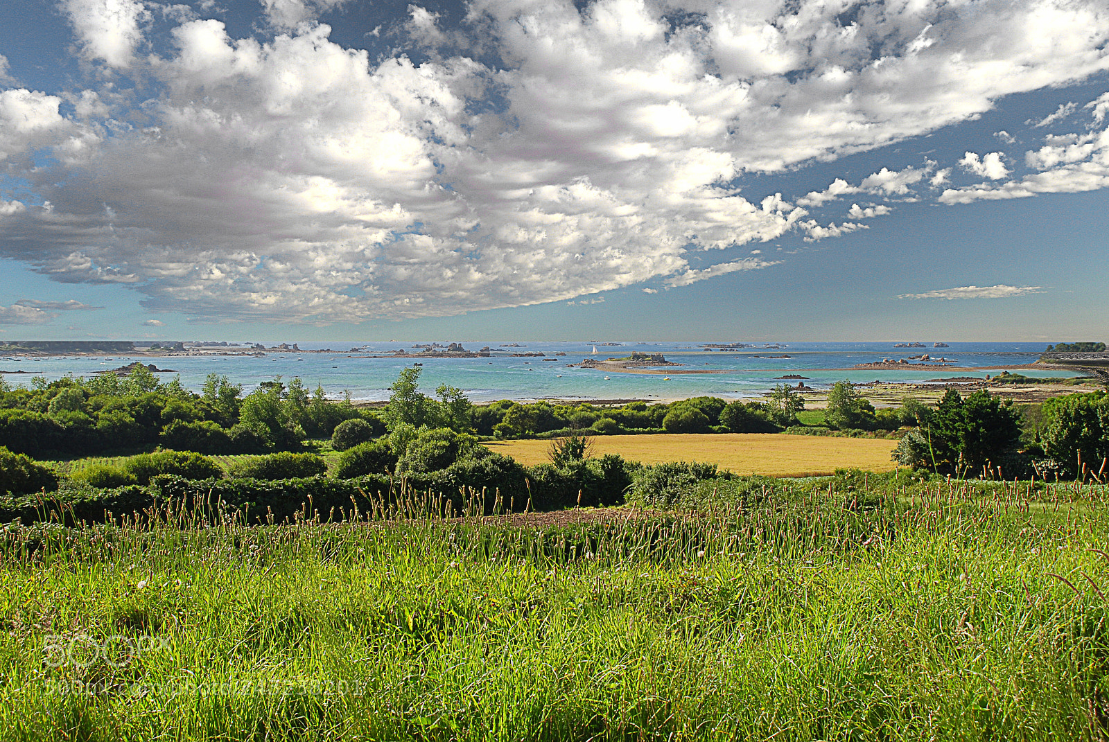 Nikon D40X sample photo. Green and blue landscape photography